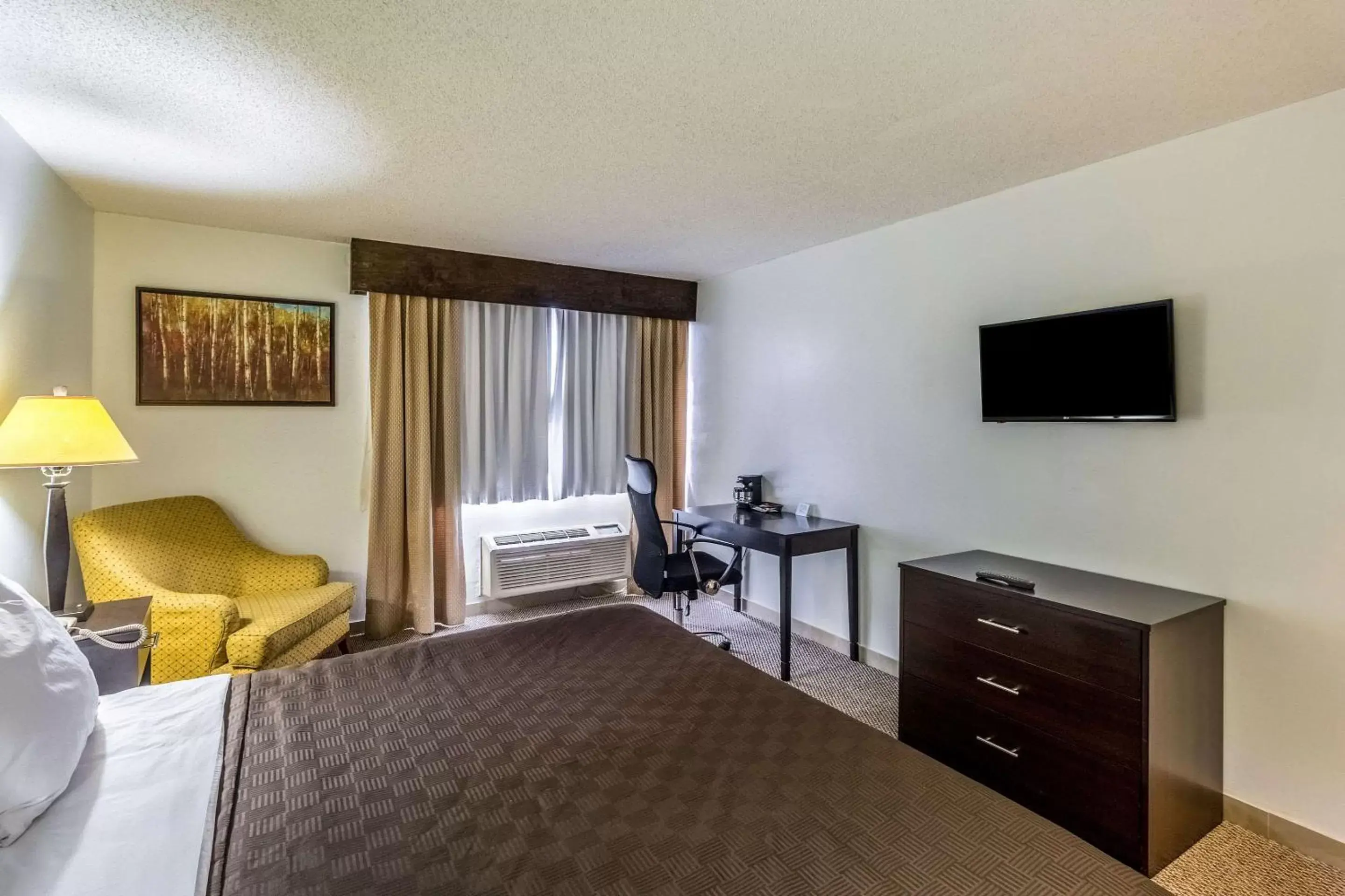 Bedroom, TV/Entertainment Center in Clarion Inn near McAllen Airport