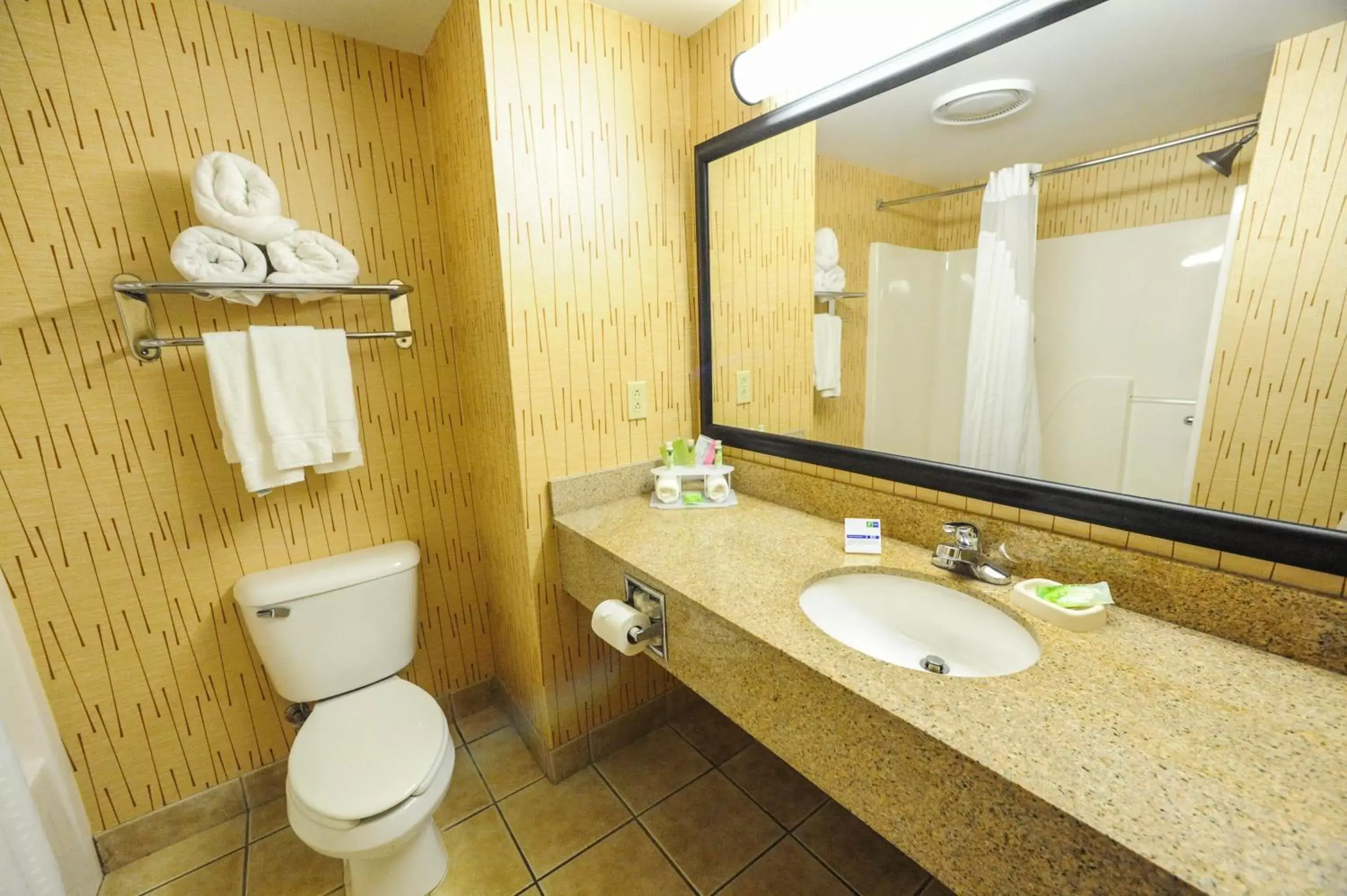 Photo of the whole room, Bathroom in Holiday Inn Express Hotel & Suites Bowling Green, an IHG Hotel