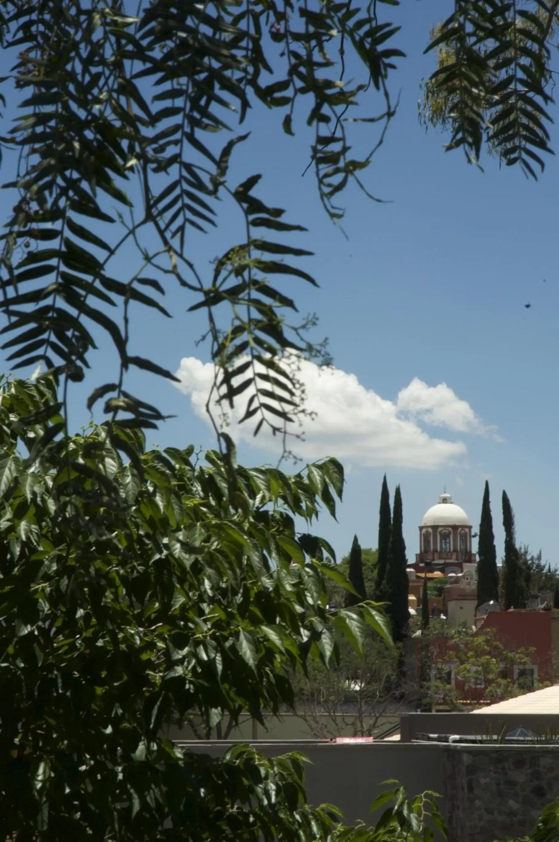 Natural landscape in Casa Mision de San Miguel