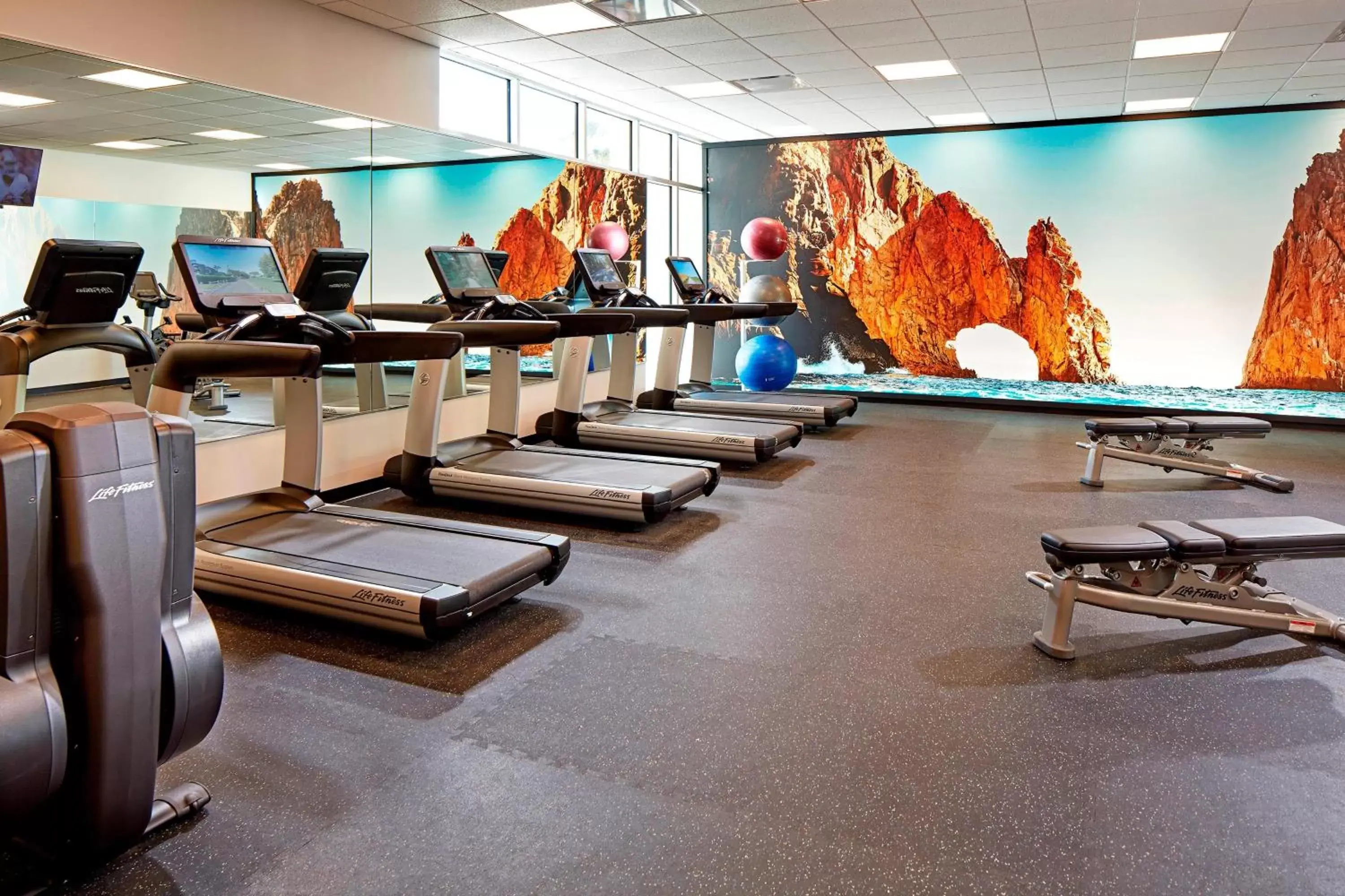 Fitness centre/facilities, Fitness Center/Facilities in HOTEL PASEO, Autograph Collection