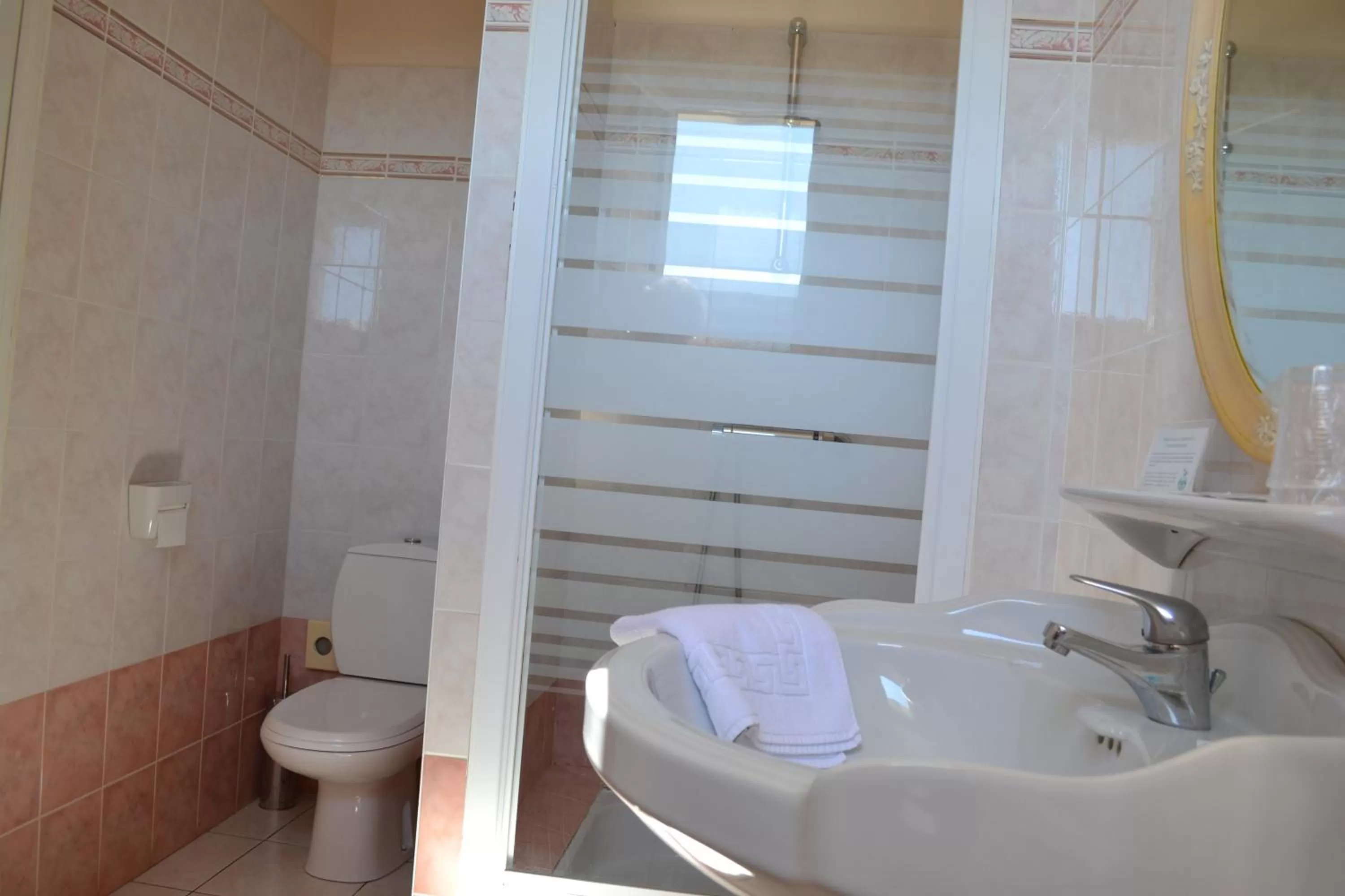 Toilet in Hôtel Le Castel