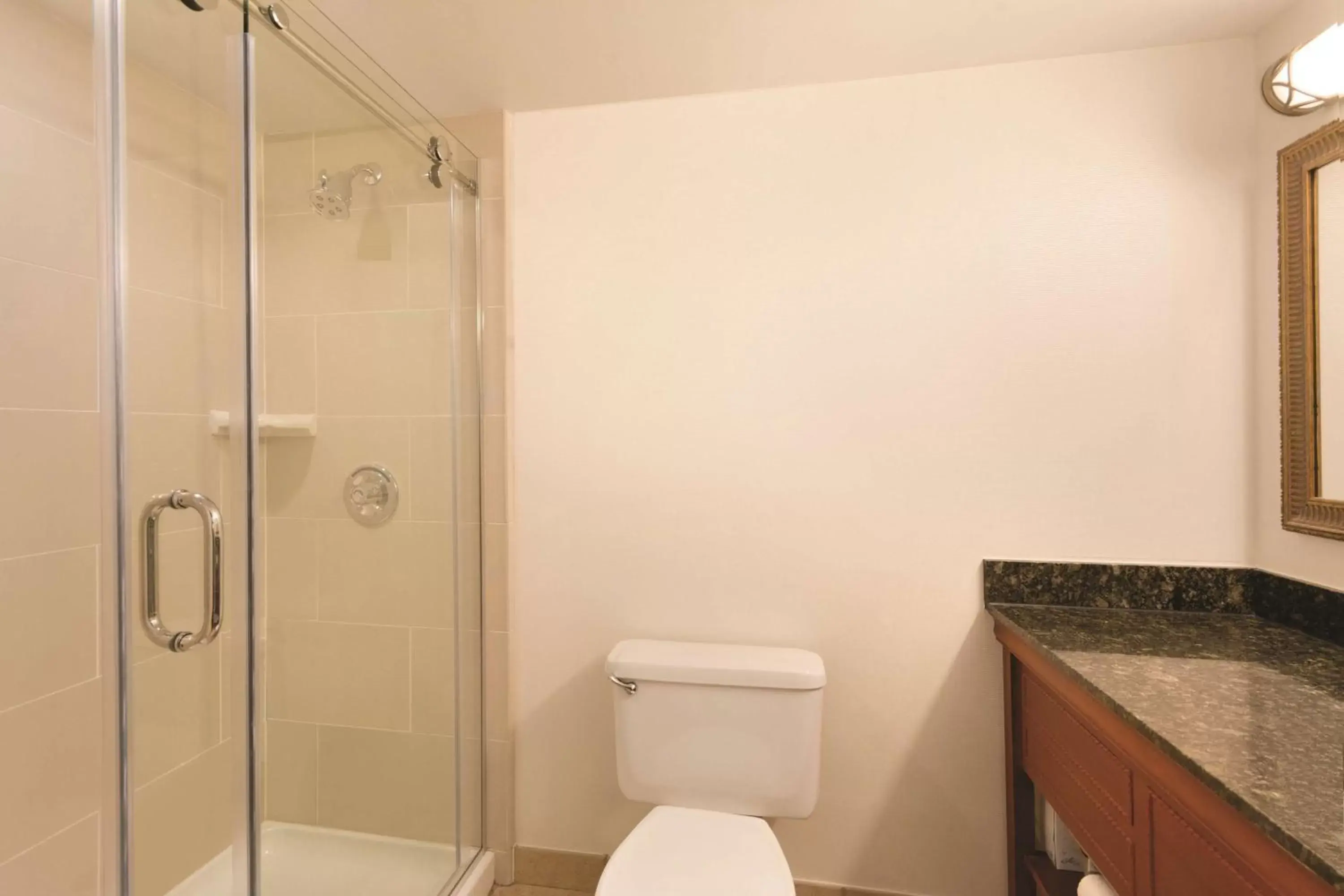 Bathroom in Embassy Suites Greenville Golf Resort & Conference Center