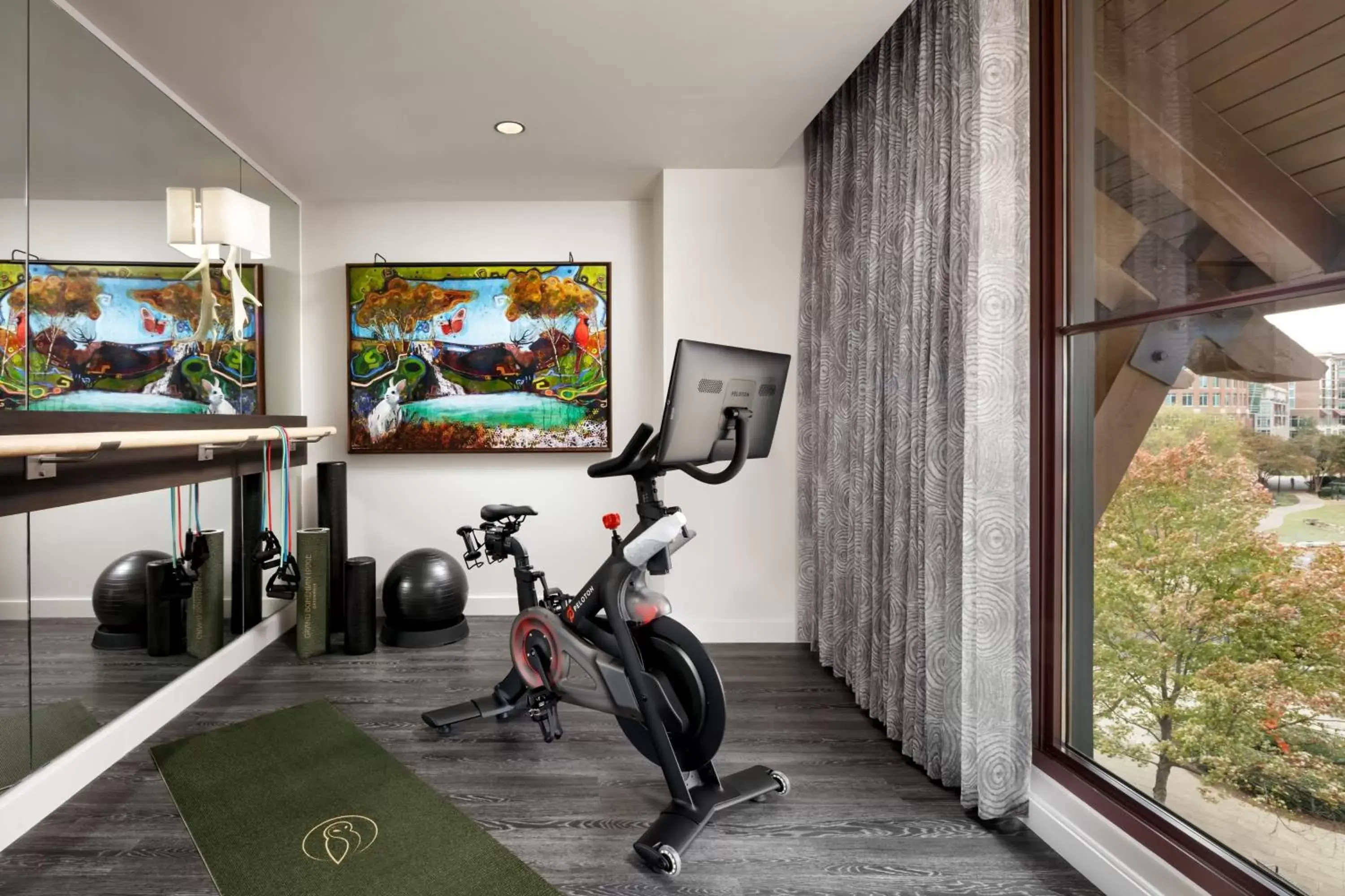 Fitness centre/facilities, Fitness Center/Facilities in Grand Bohemian Lodge Greenville, Autograph Collection