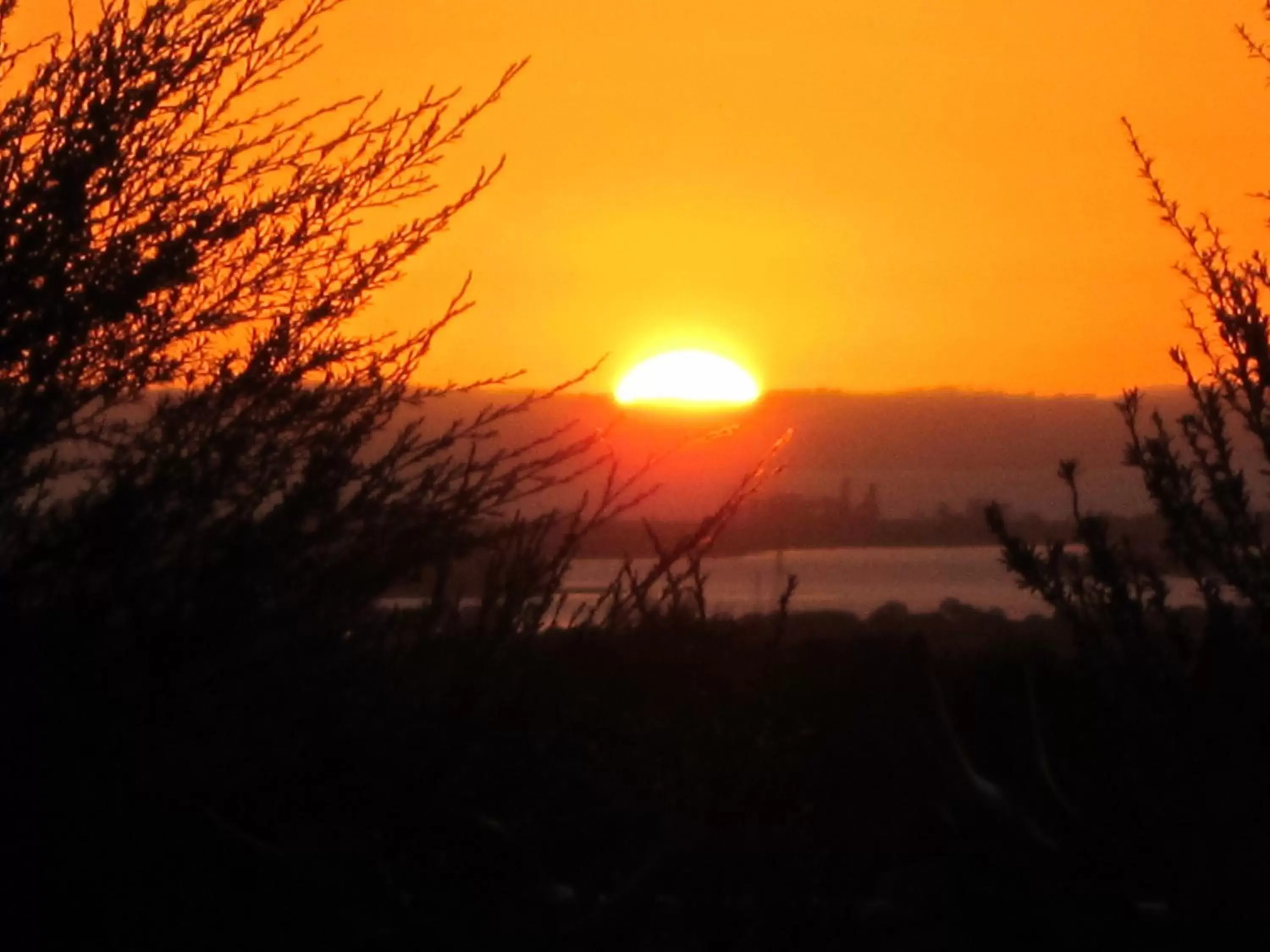 Night, Sunrise/Sunset in Auckland Country Cottages