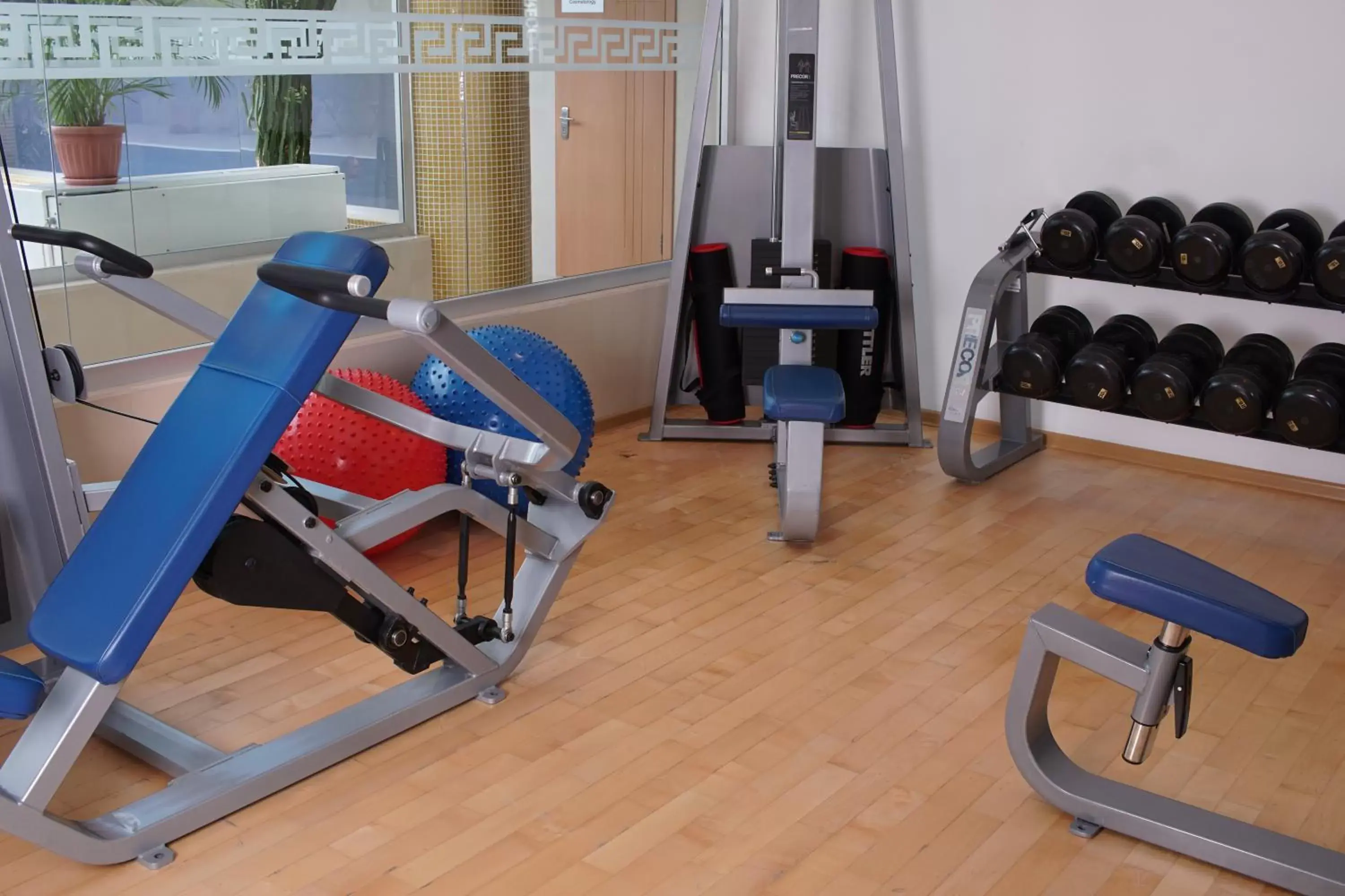 Fitness centre/facilities, Fitness Center/Facilities in The Dostyk Hotel