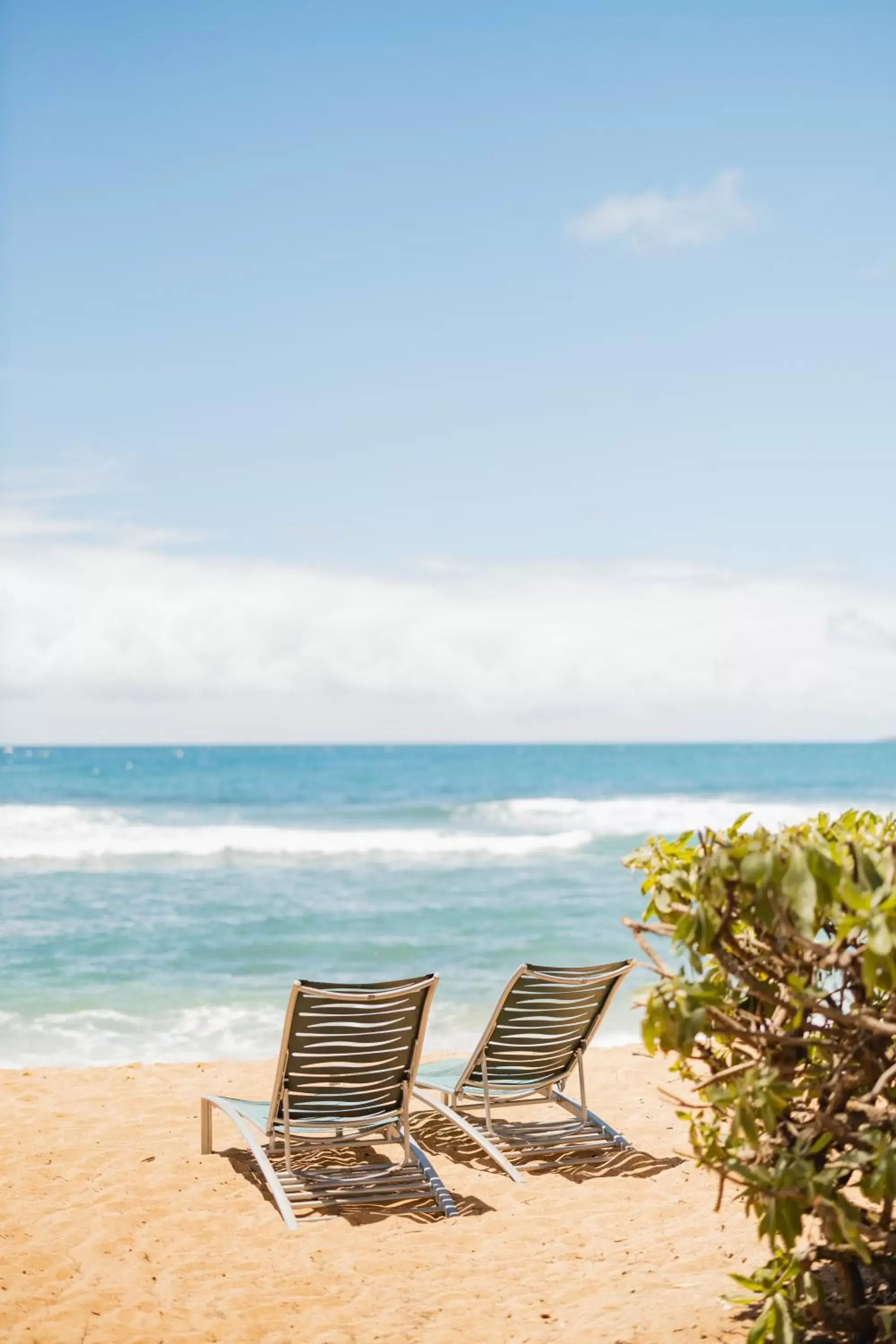 Beach in Kauai Shores Hotel