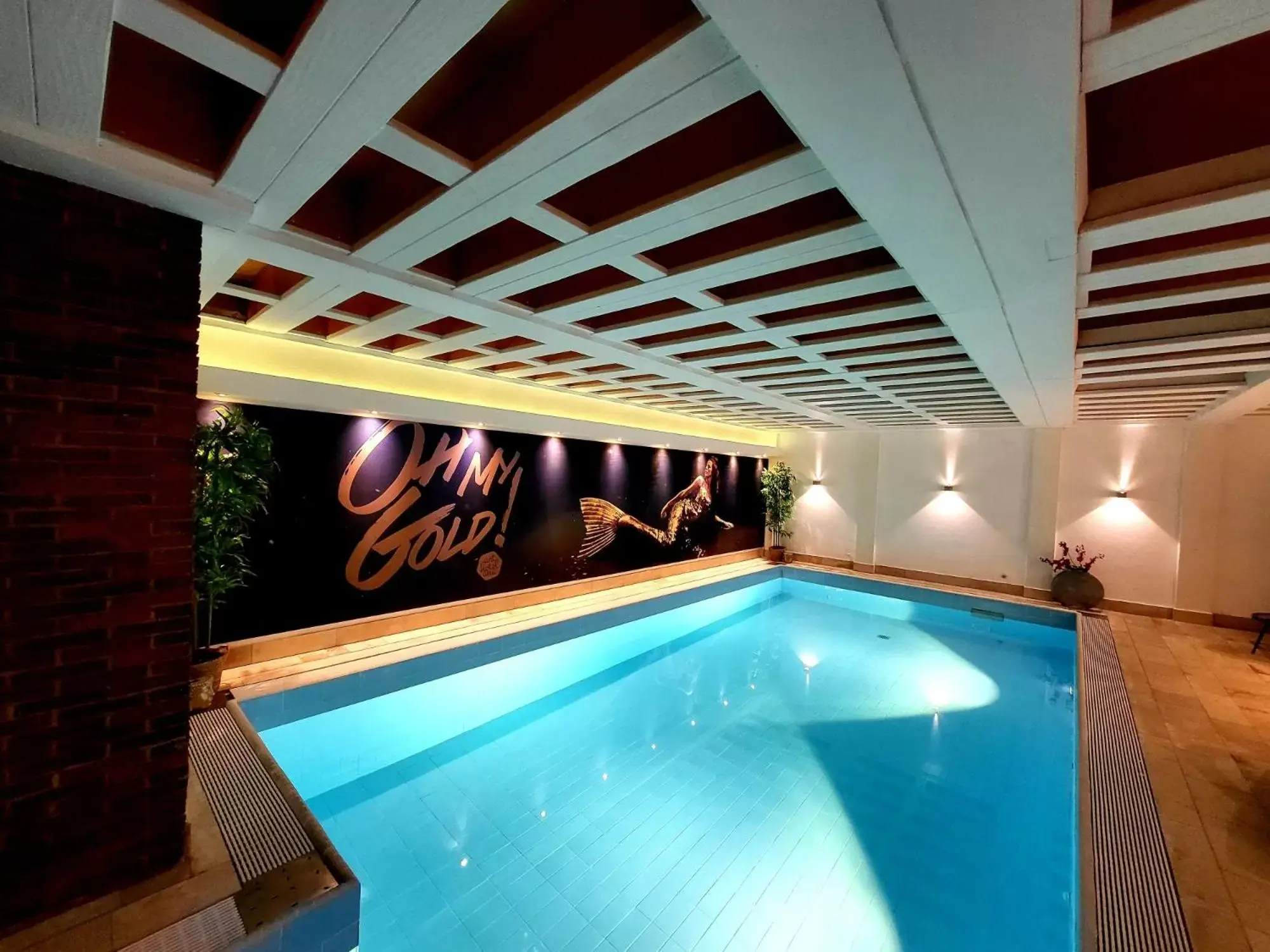 Swimming Pool in Arthotel ANA Gold