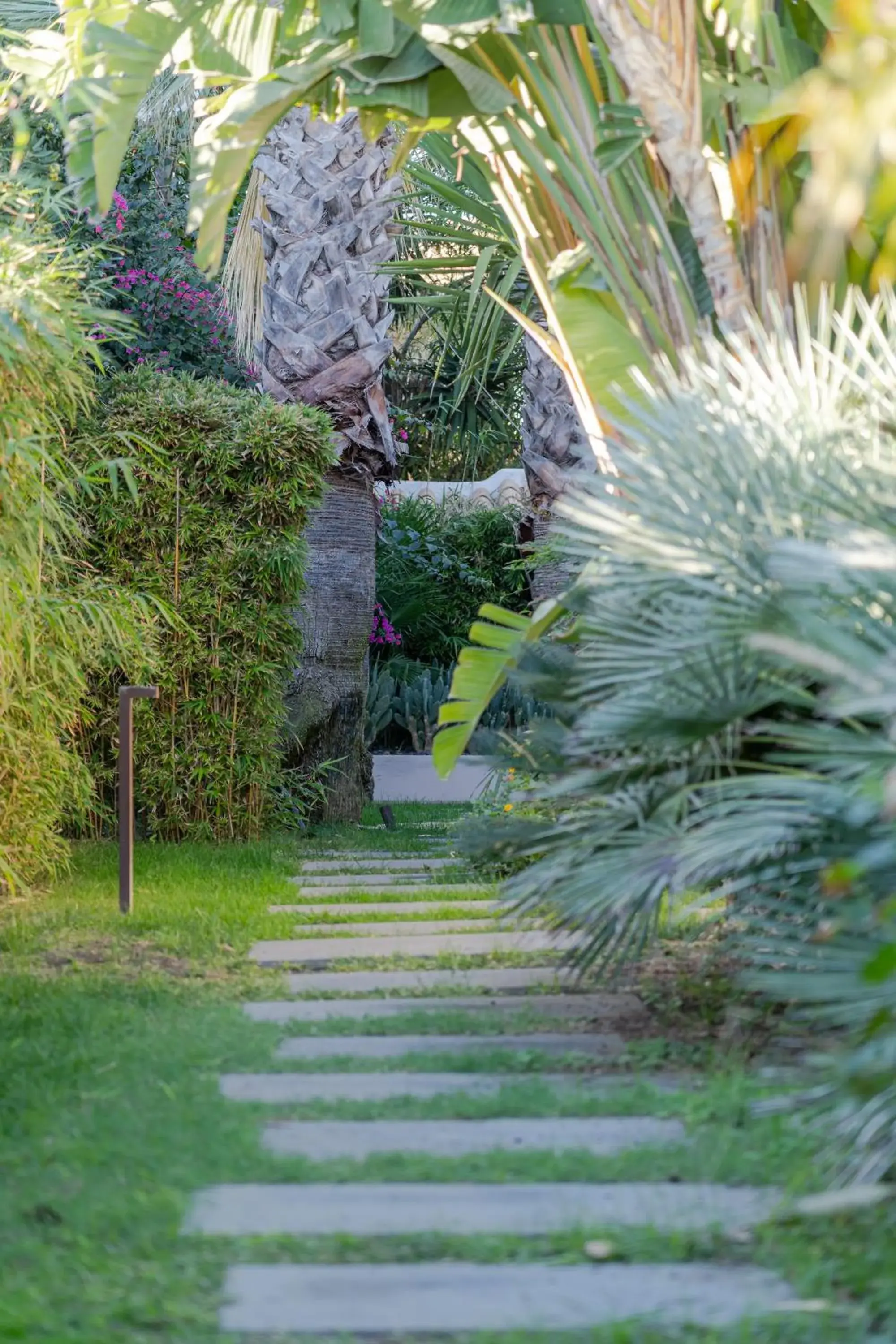 Garden in Grand Hotel Minareto