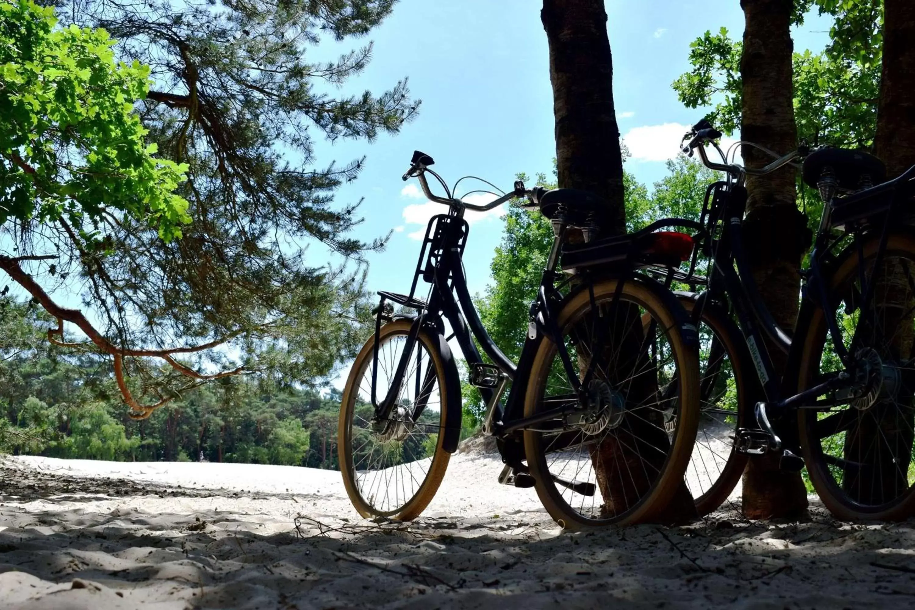 Sports, Biking in DoubleTree by Hilton Royal Parc Soestduinen