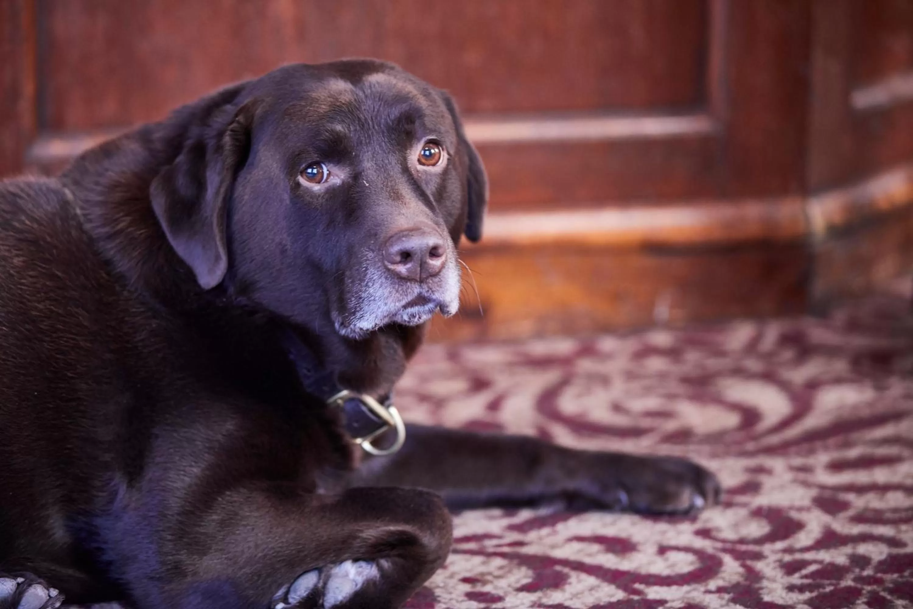 Guests in Wykeham Arms