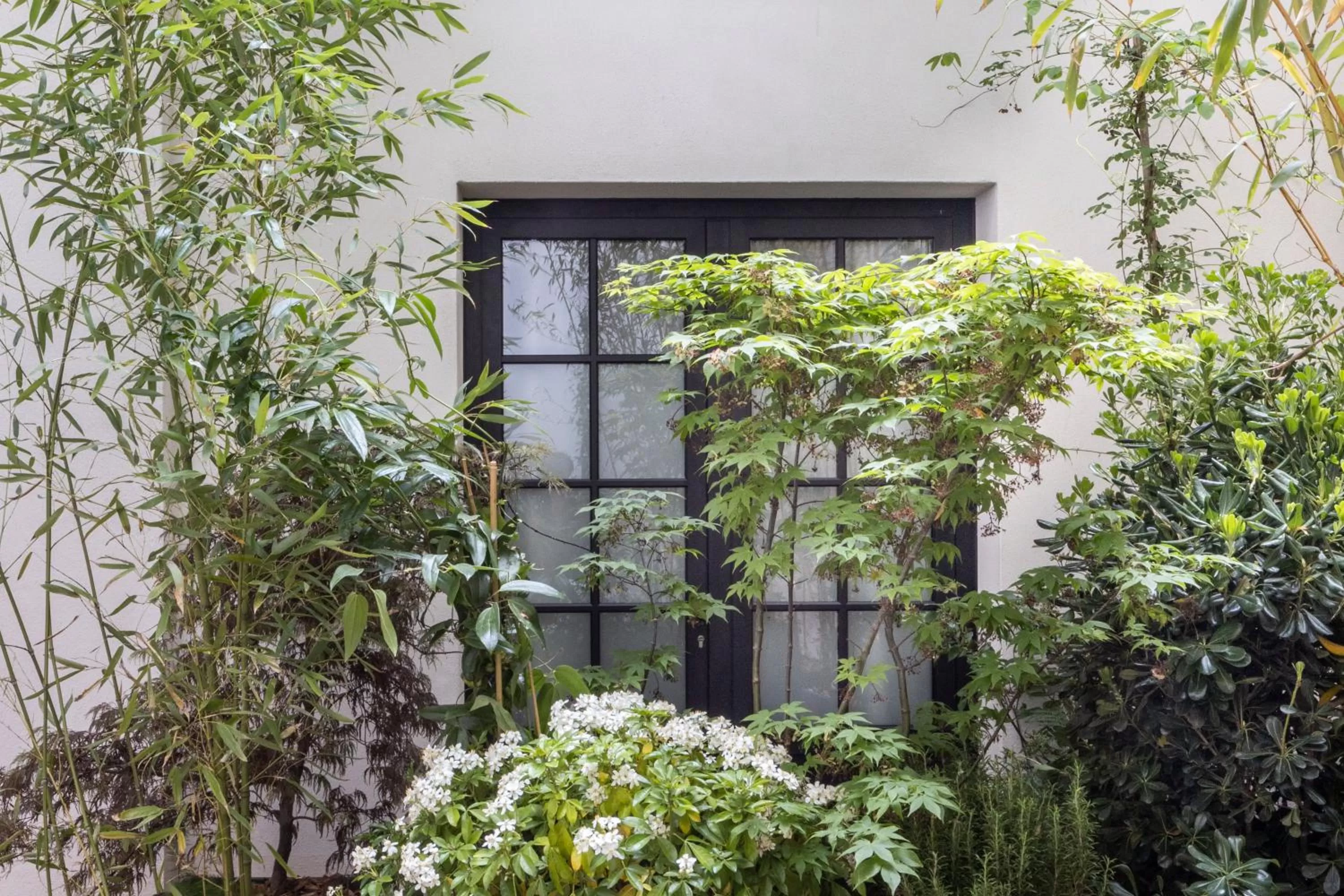 Property building in Hôtel Parisianer