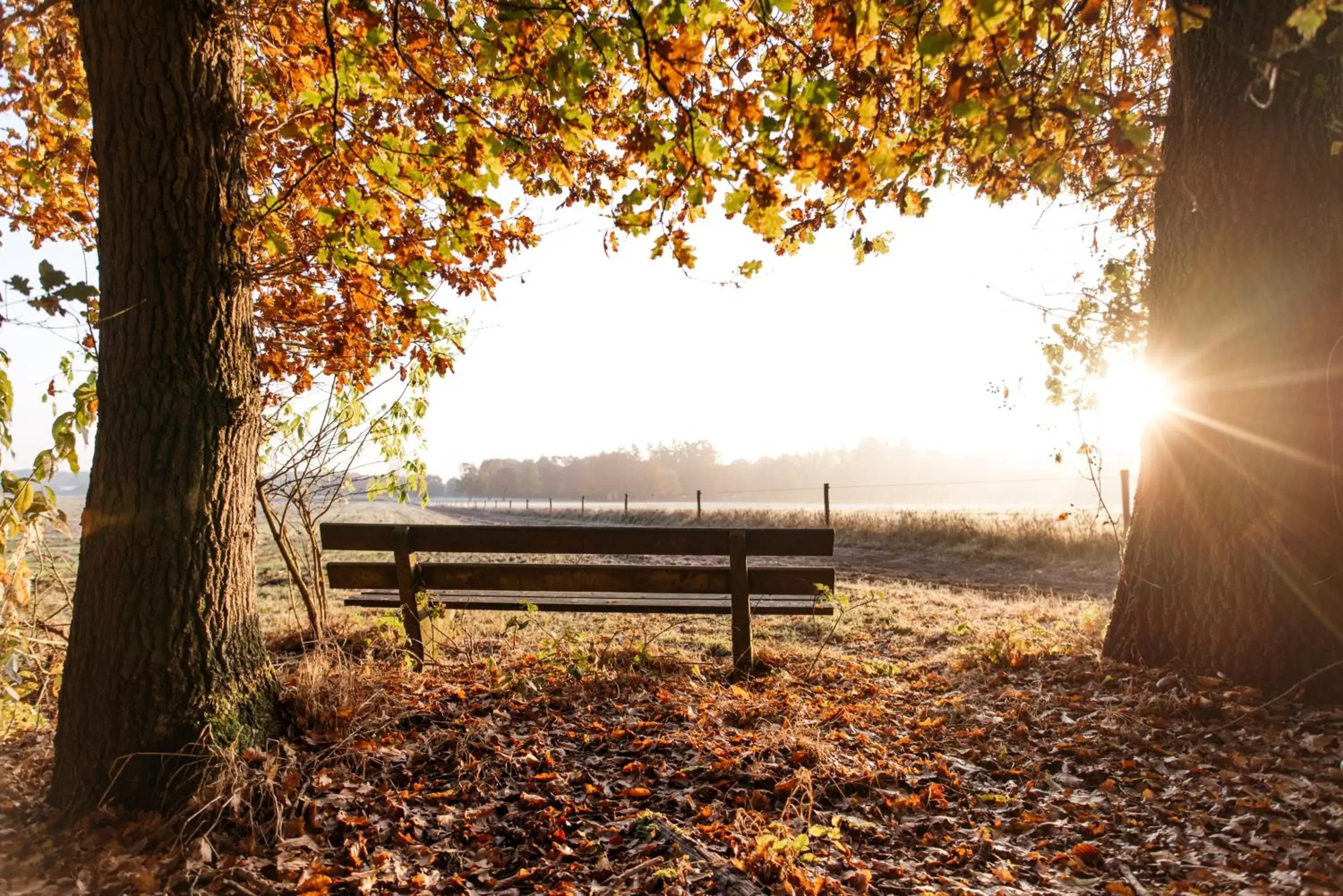 Natural landscape in Van der Valk Hotel Apeldoorn - de Cantharel