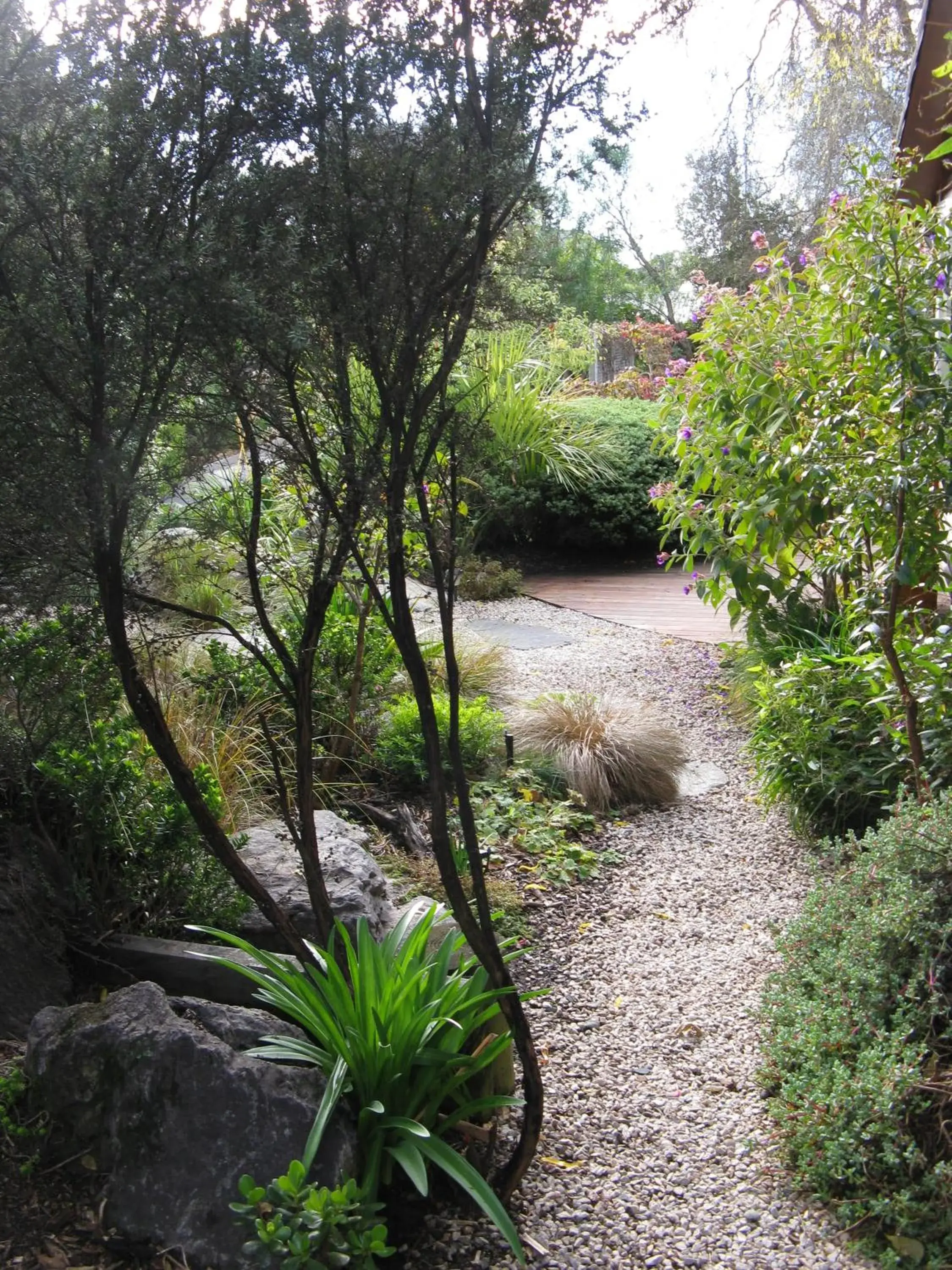 Garden in Joya Garden & Villa Studios