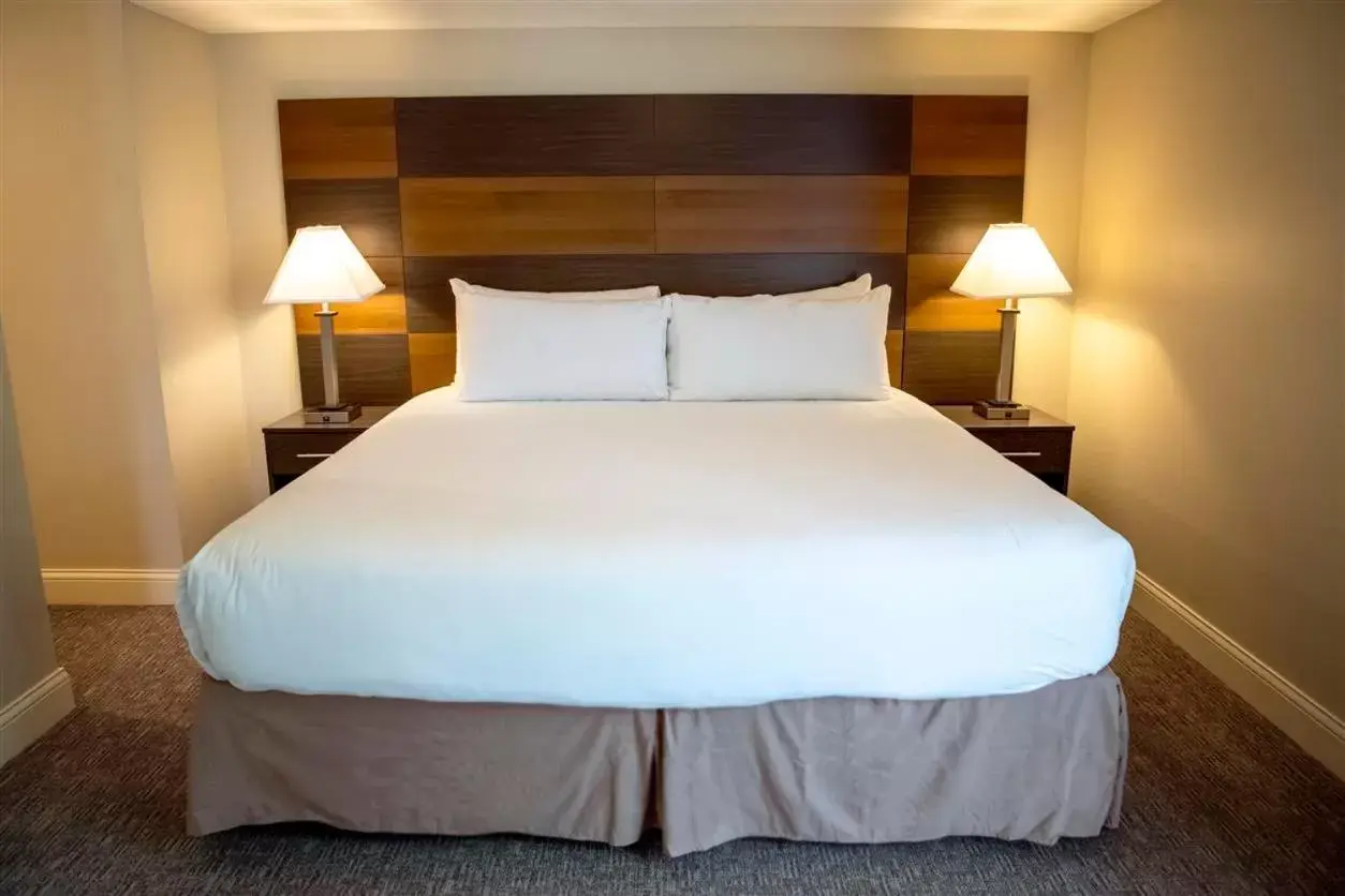 Studio - Disability Access in Annabell Gardens Studio - Disability Access in Annabell Gardens