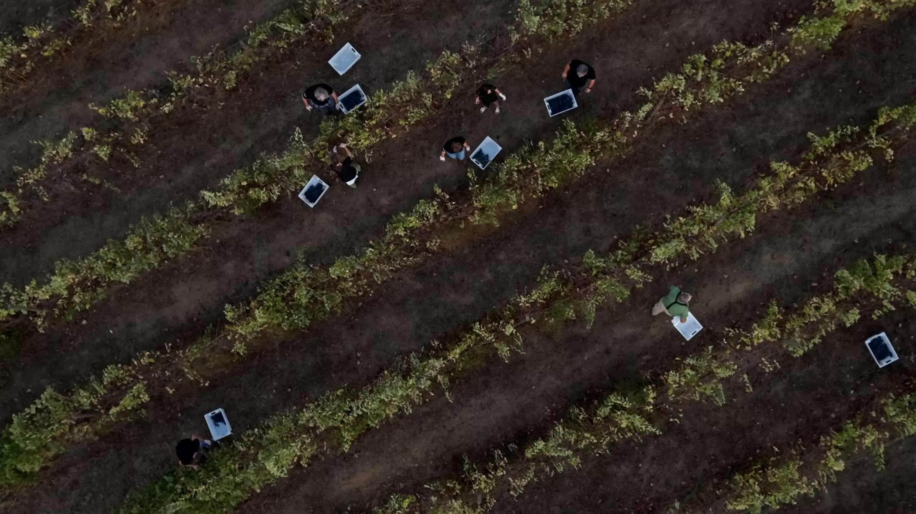 Natural landscape in L'AND Vineyards