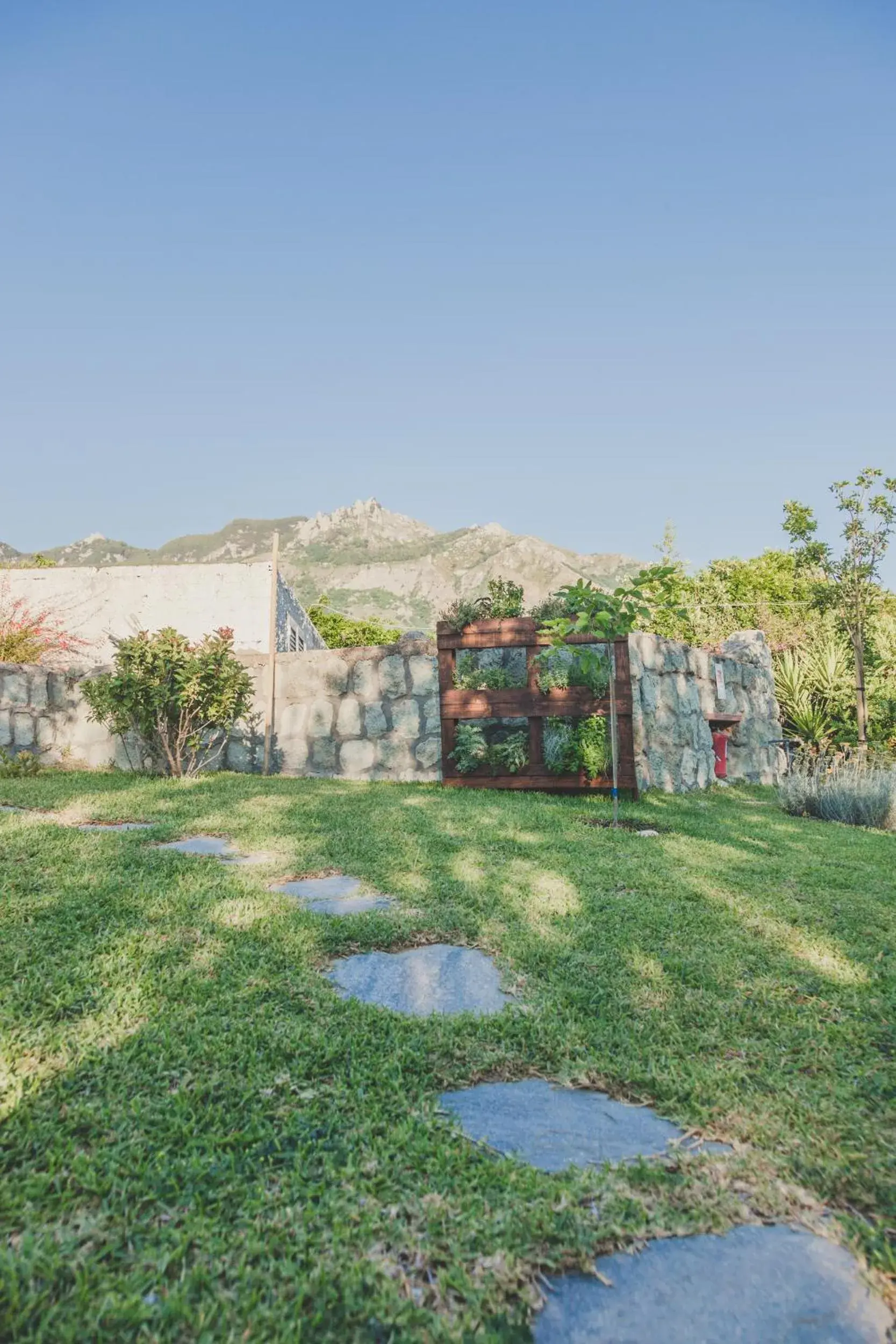 Garden in Hotel Ideal