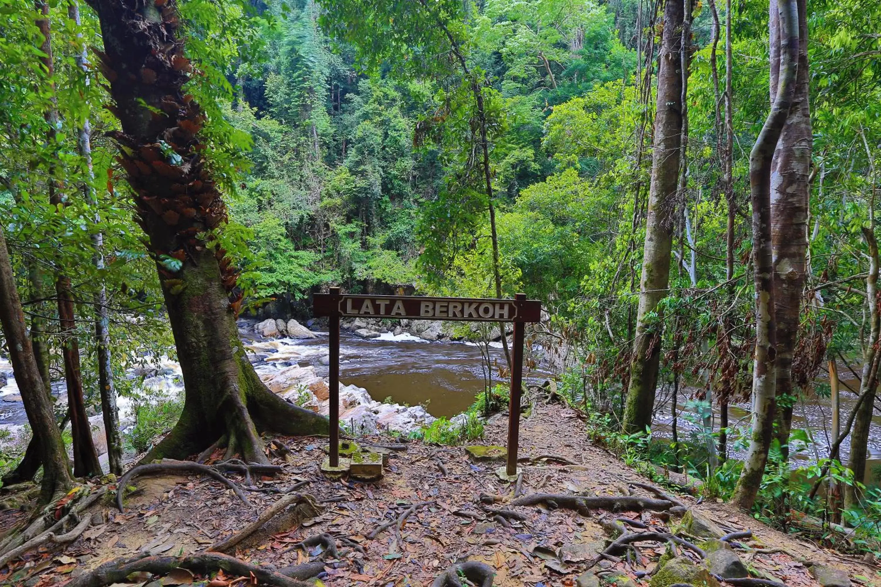 Area and facilities in Mutiara Taman Negara