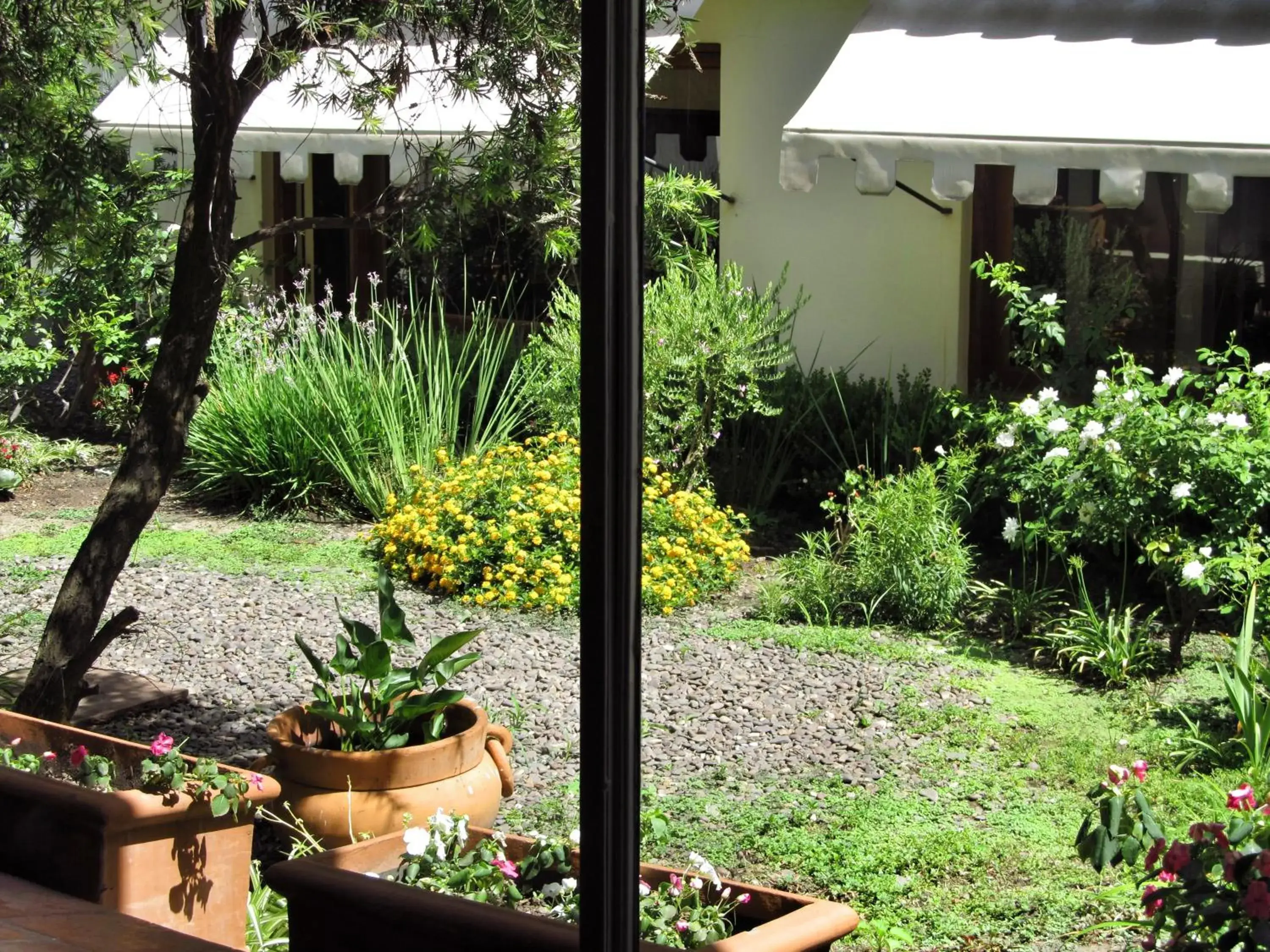 Garden in Solar De La Plaza