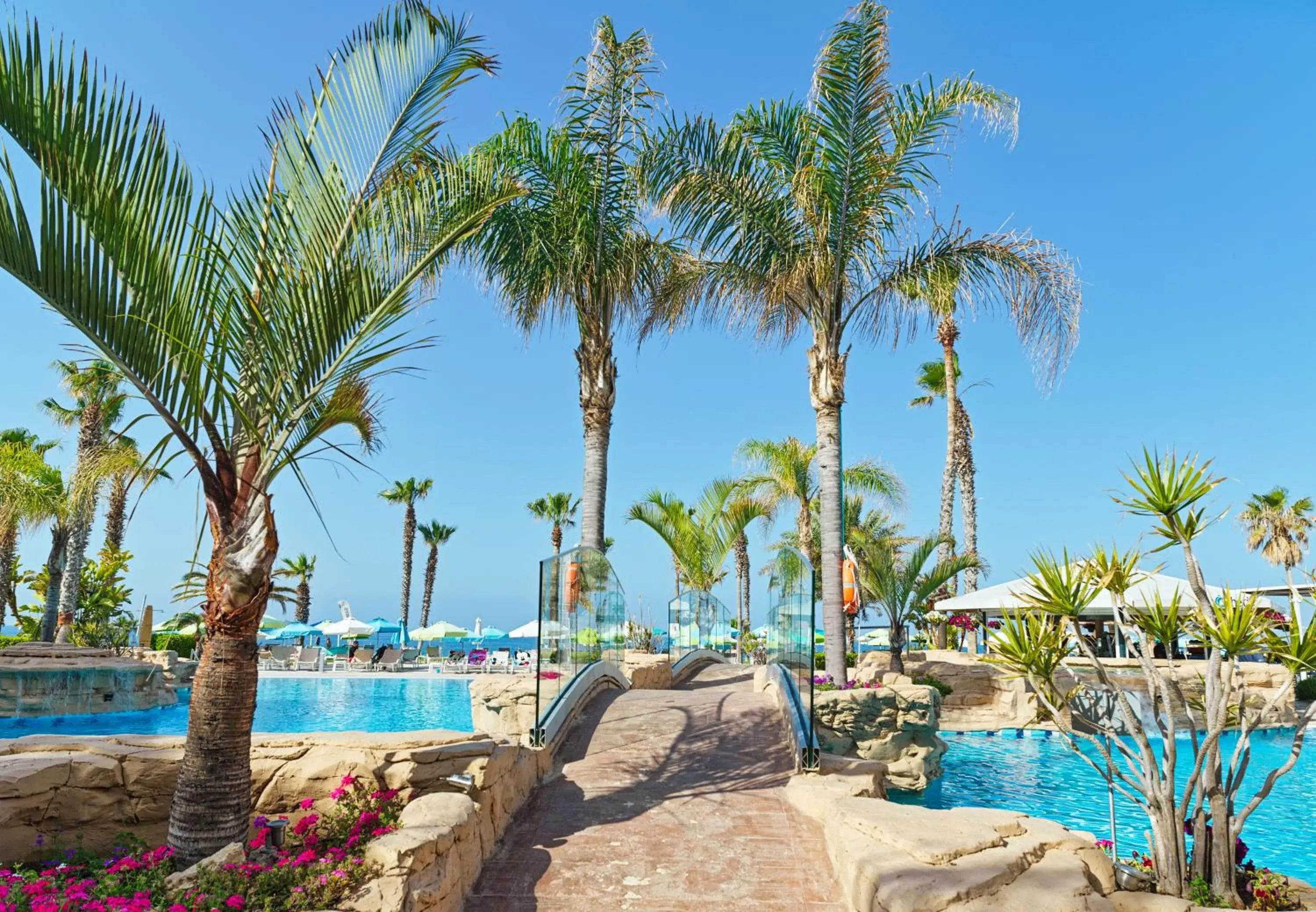 Swimming Pool in Leonardo Cypria Bay