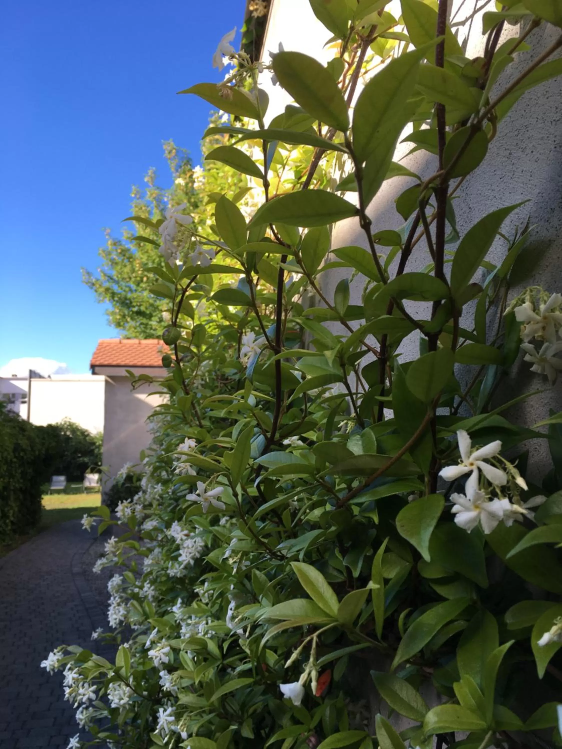 Spring in Hôtel du Théâtre, Boutique Hôtel