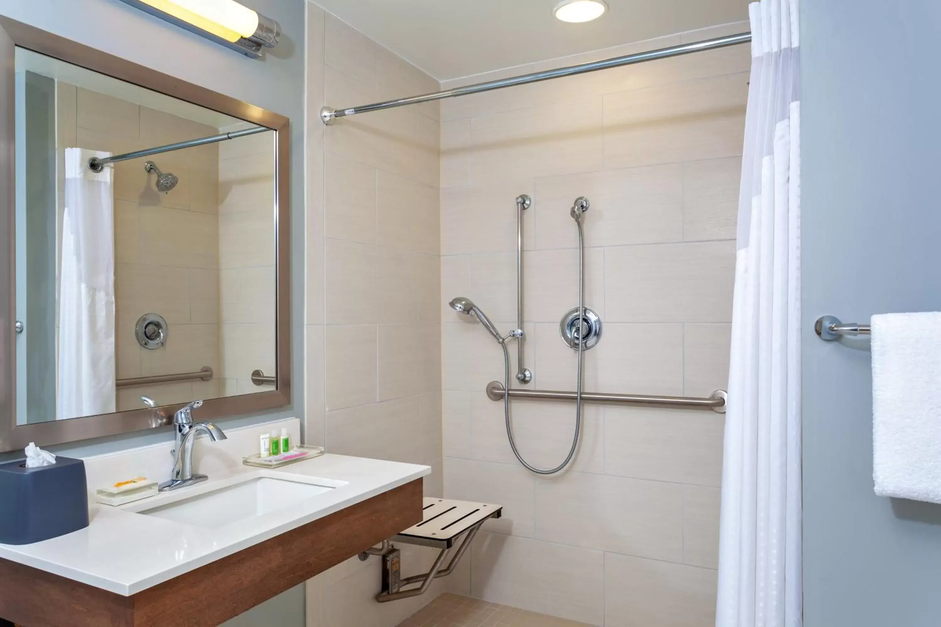 Bathroom in Holiday Inn - St Augustine - World Golf, an IHG Hotel