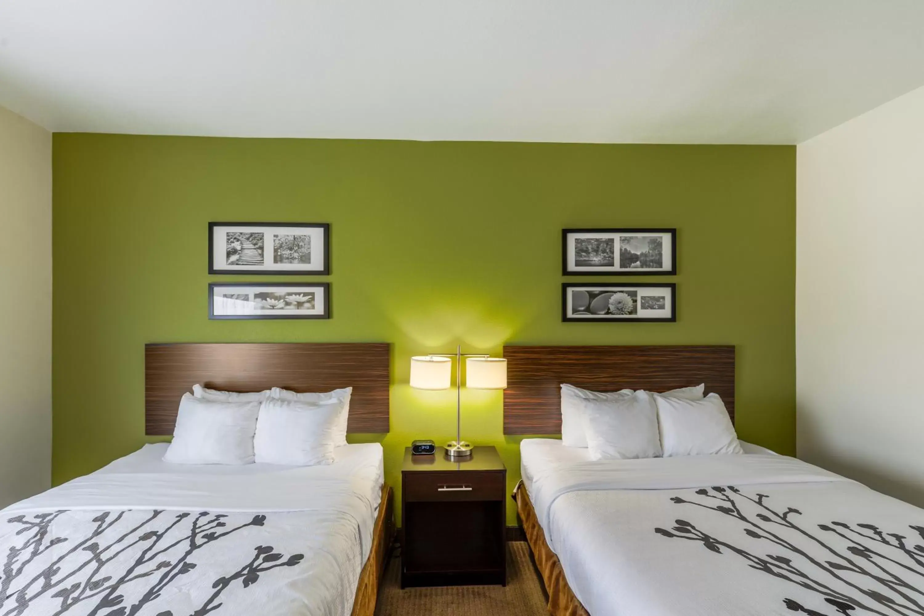 Bed in Sleep Inn & Suites Midland West