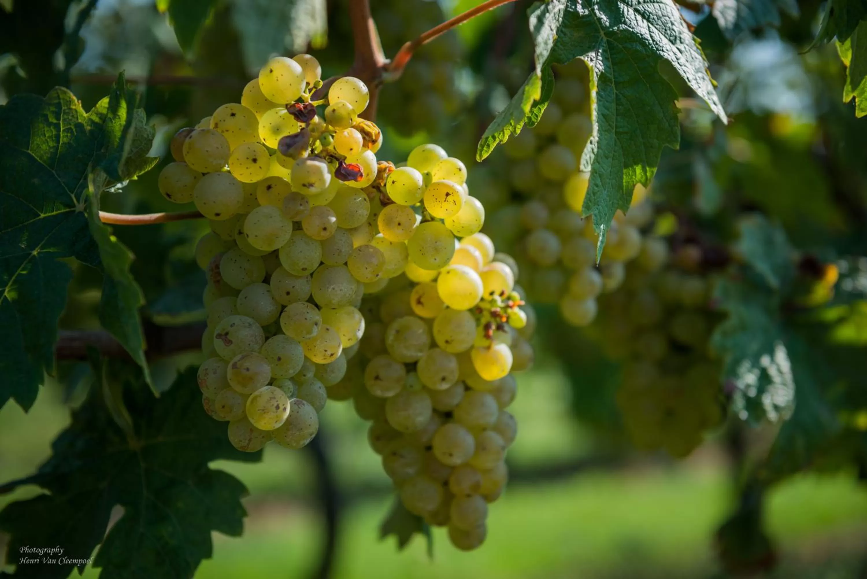 Area and facilities in B&B Silentium