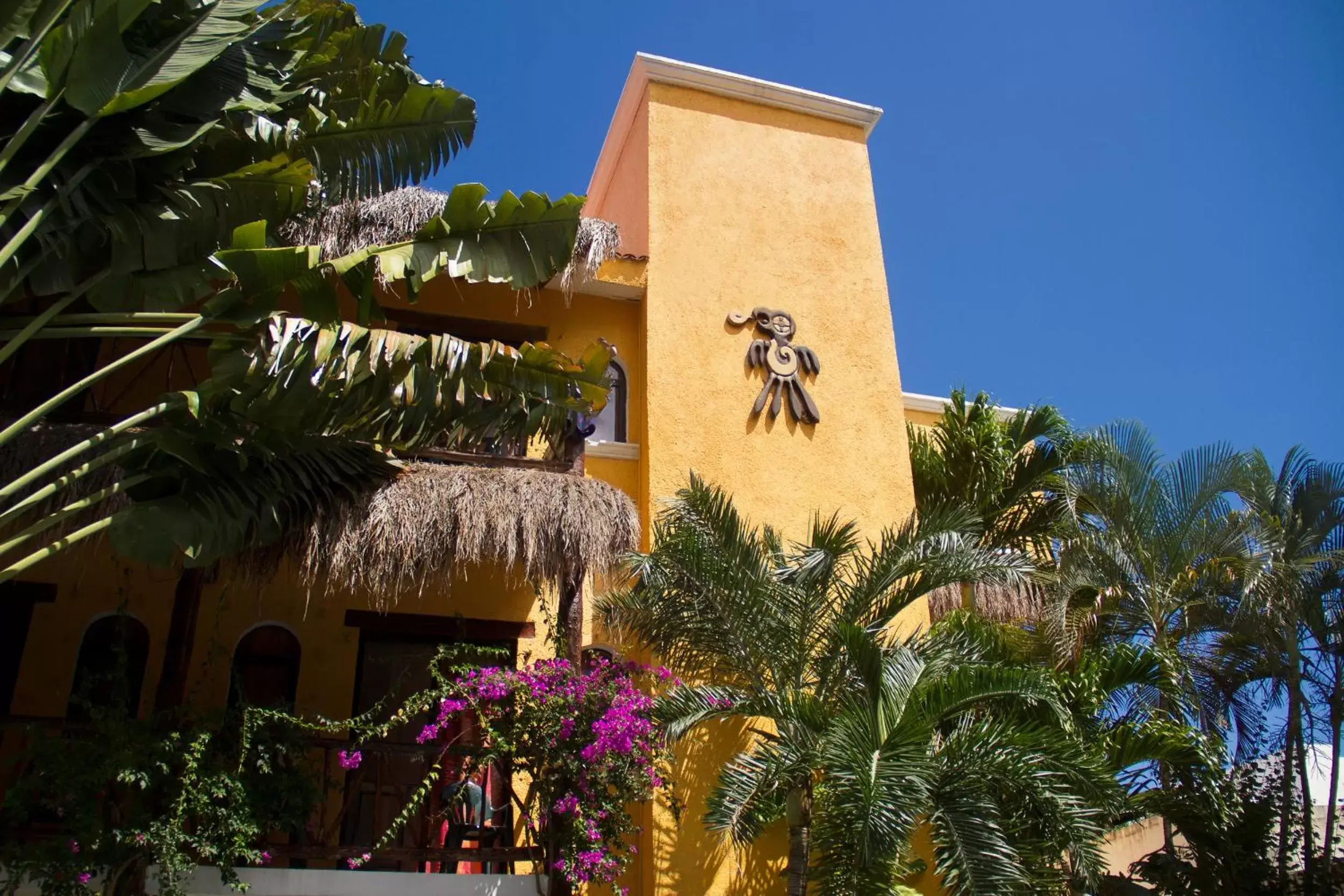 Property Building in Hotel Bosque Caribe, 5th Av. zone