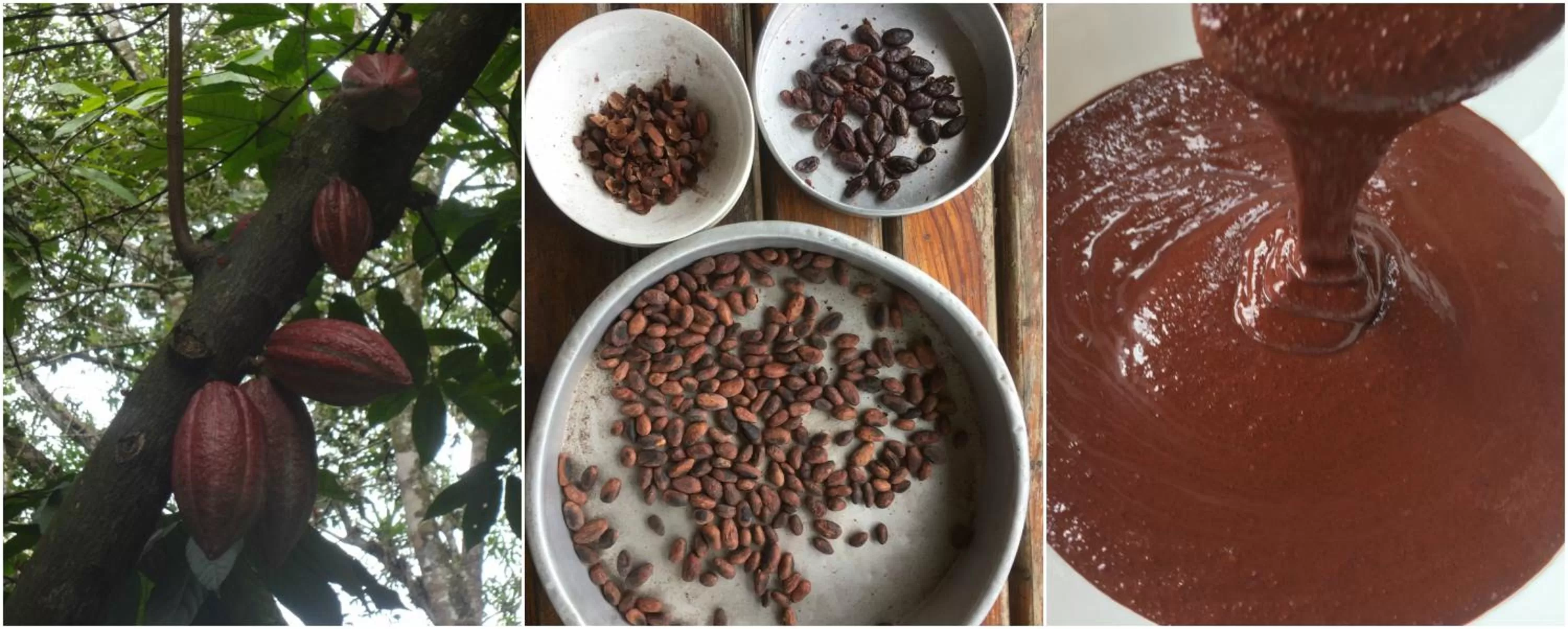 Entertainment in Utopia Eco Hotel