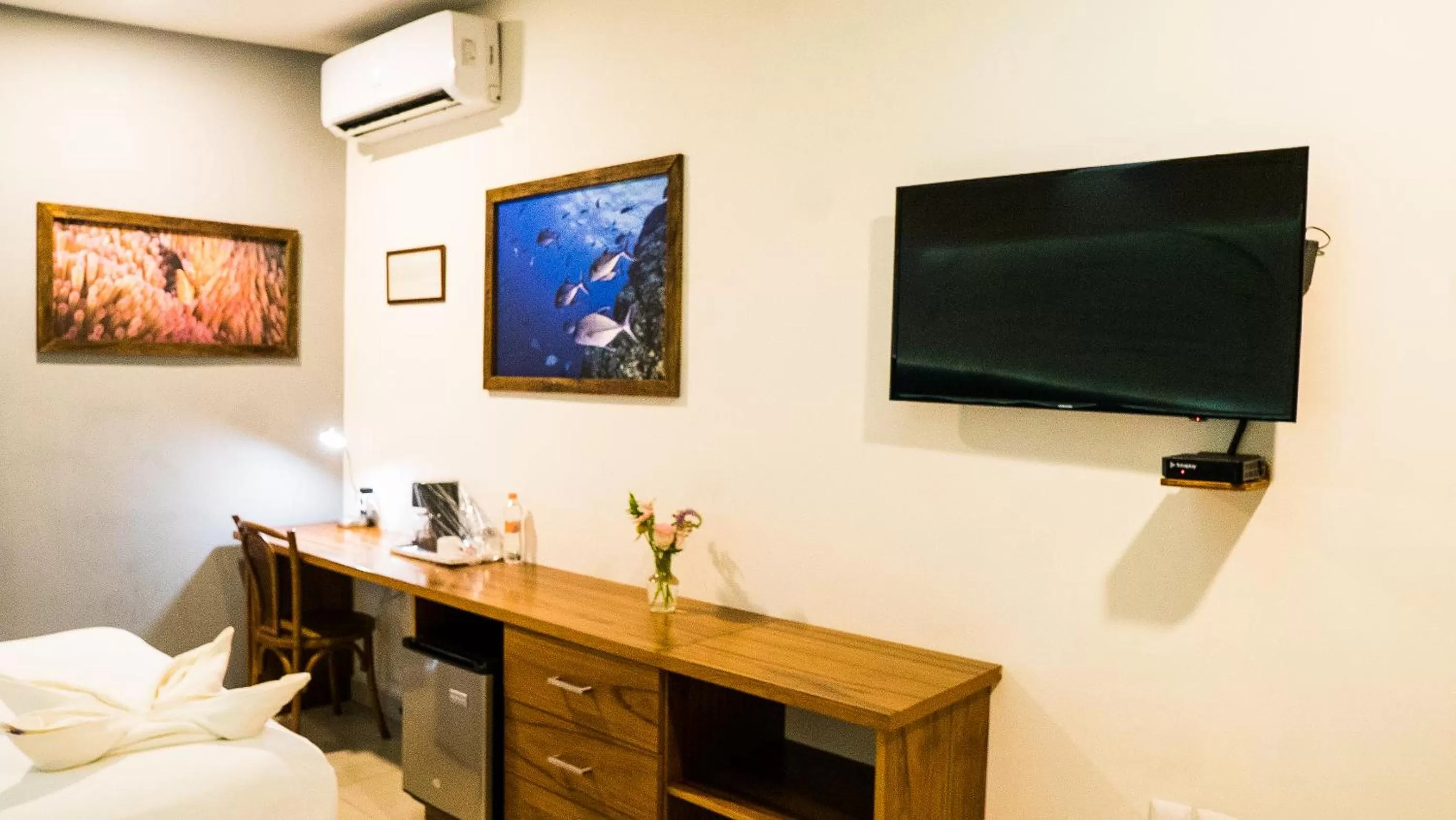 Photo of the whole room in Hotel Clipperton