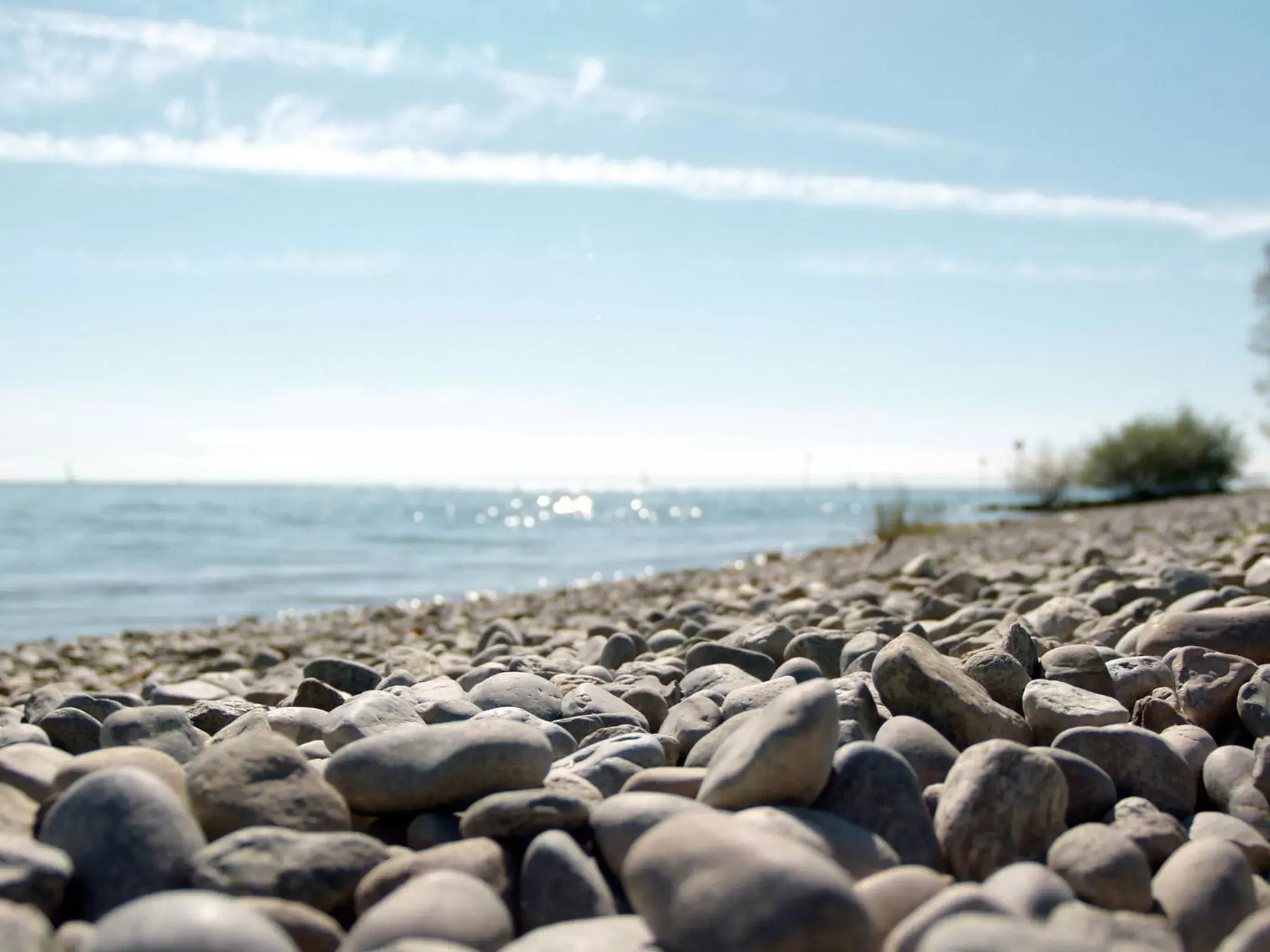 Beach in Hotel Traube am See