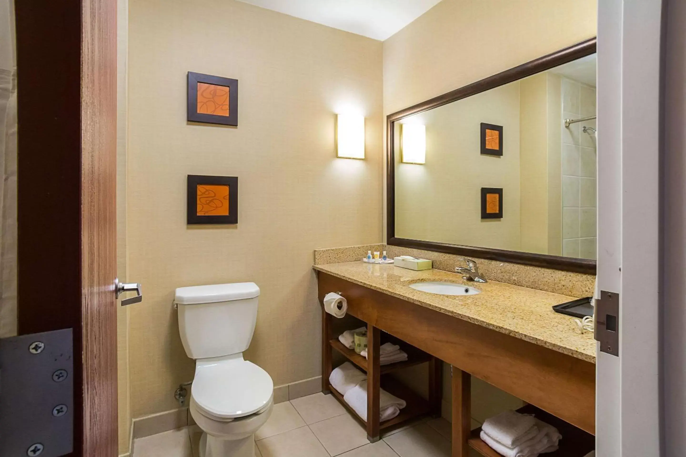 Toilet, Bathroom in Comfort Suites Twinsburg