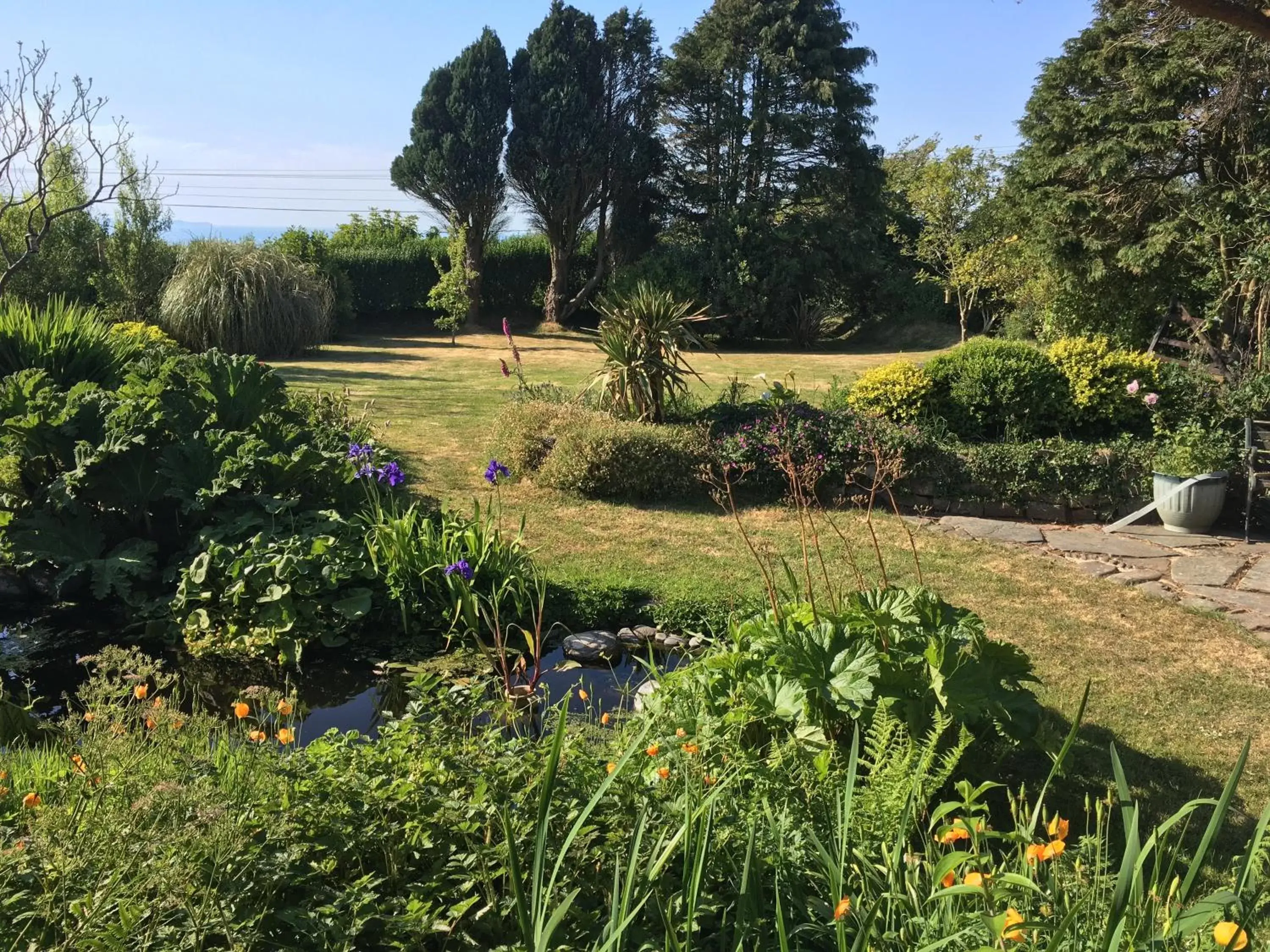 Garden in Slerra Hill Bed and Breakfast, Clovelly