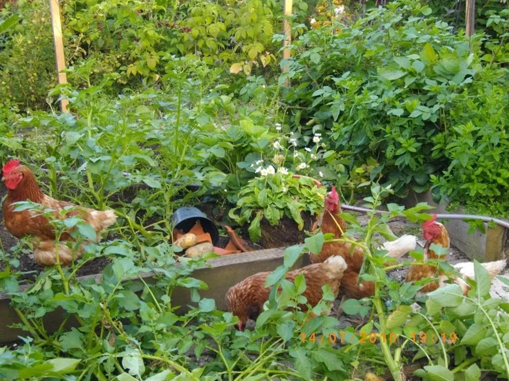 Property building in Birch House Bed & Breakfast