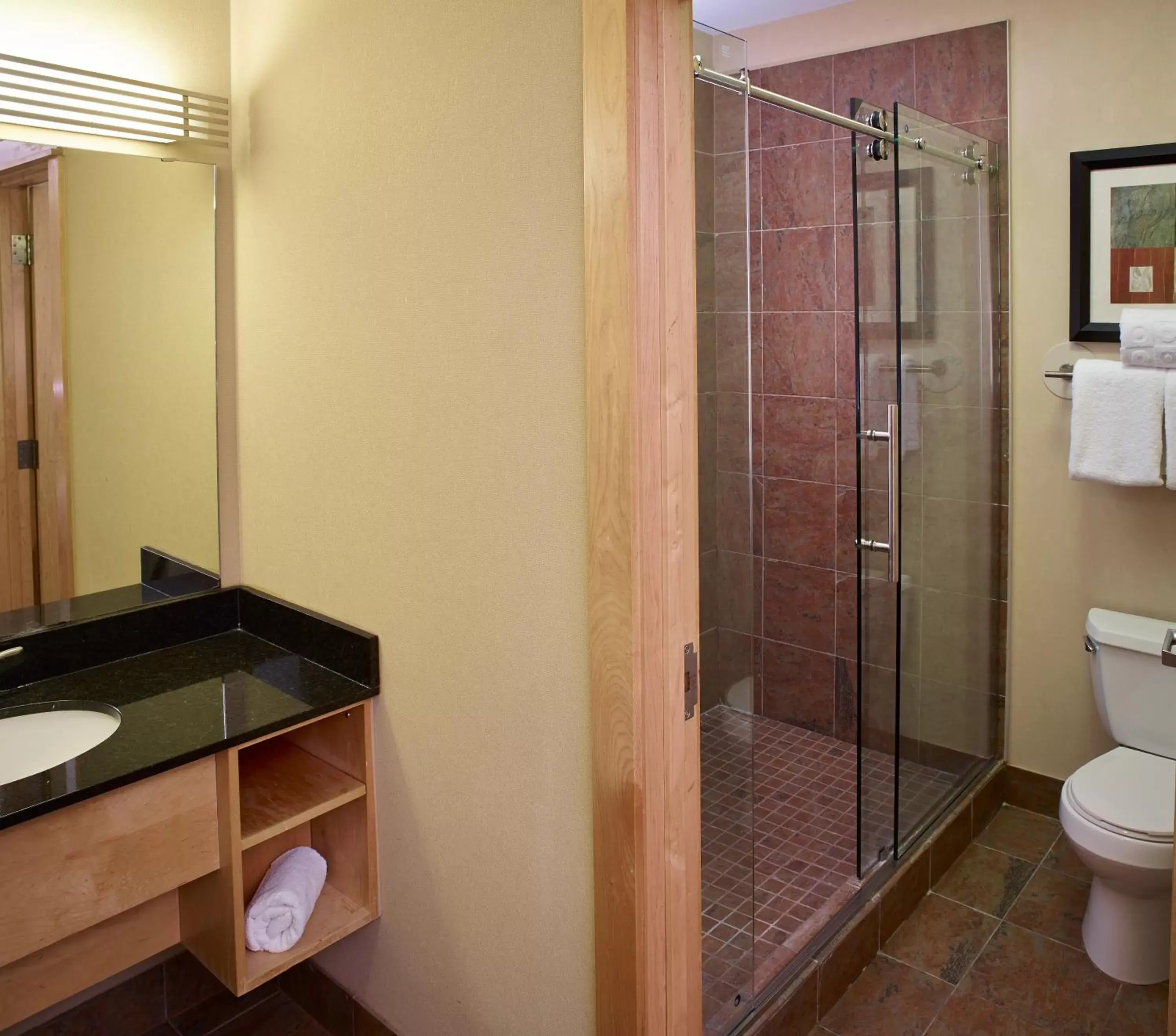 Bathroom in LivINN Hotel Minneapolis North / Fridley