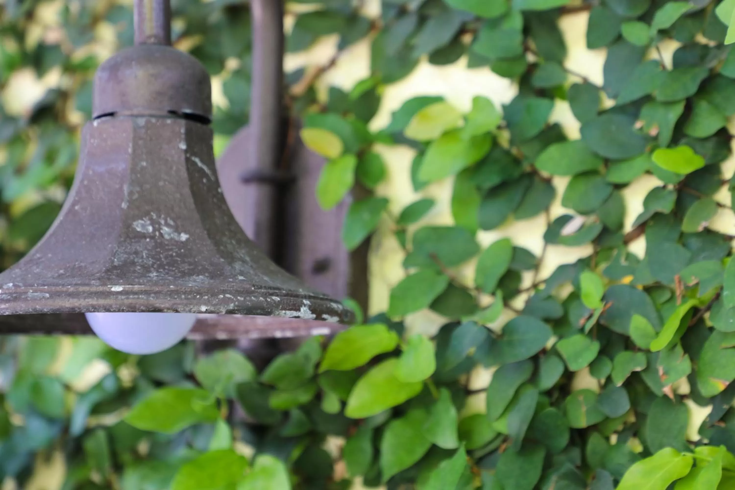 Property building in Almond Tree Inn - Adults Only