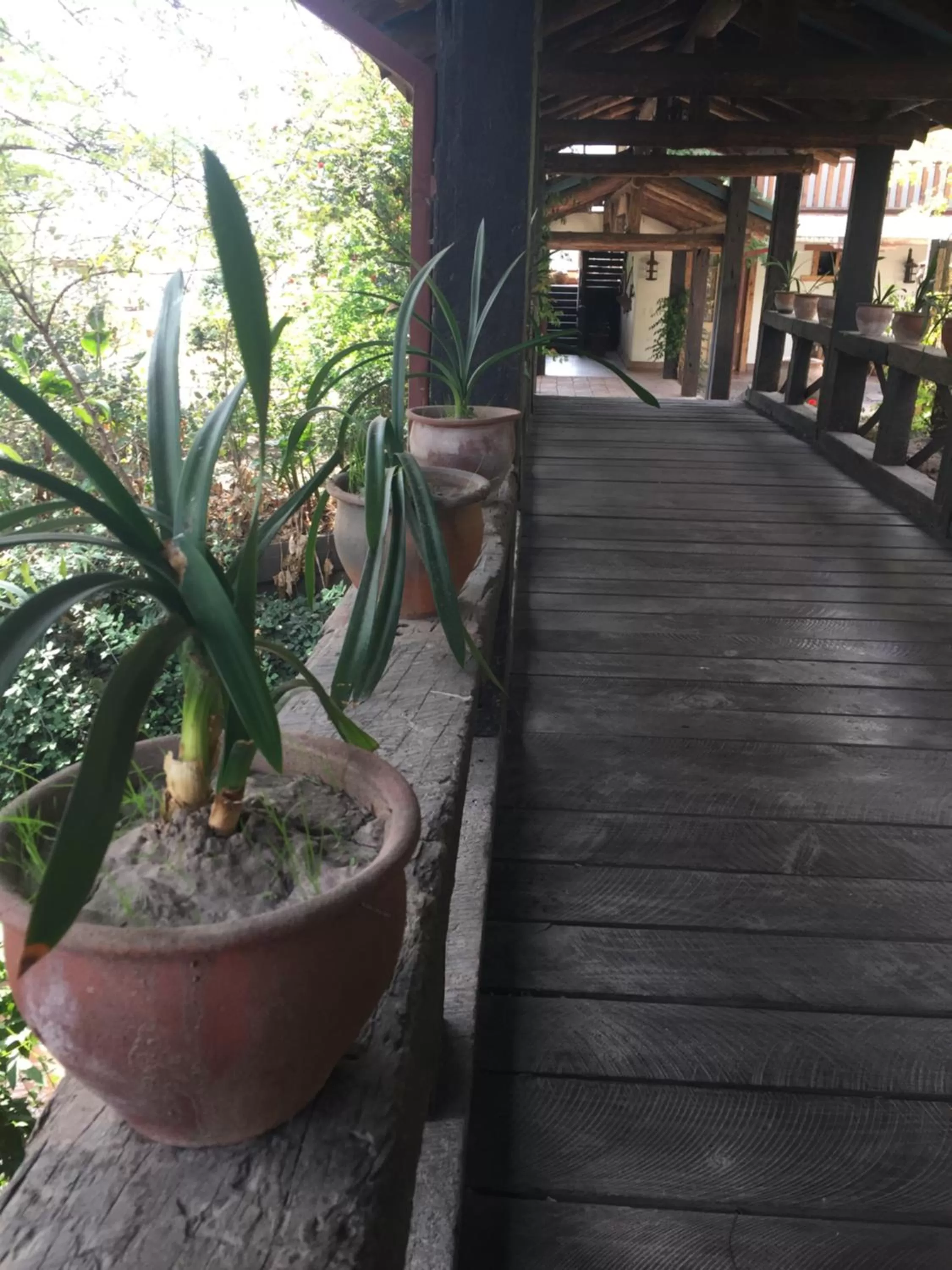 Patio in Hotel Casa De Campo
