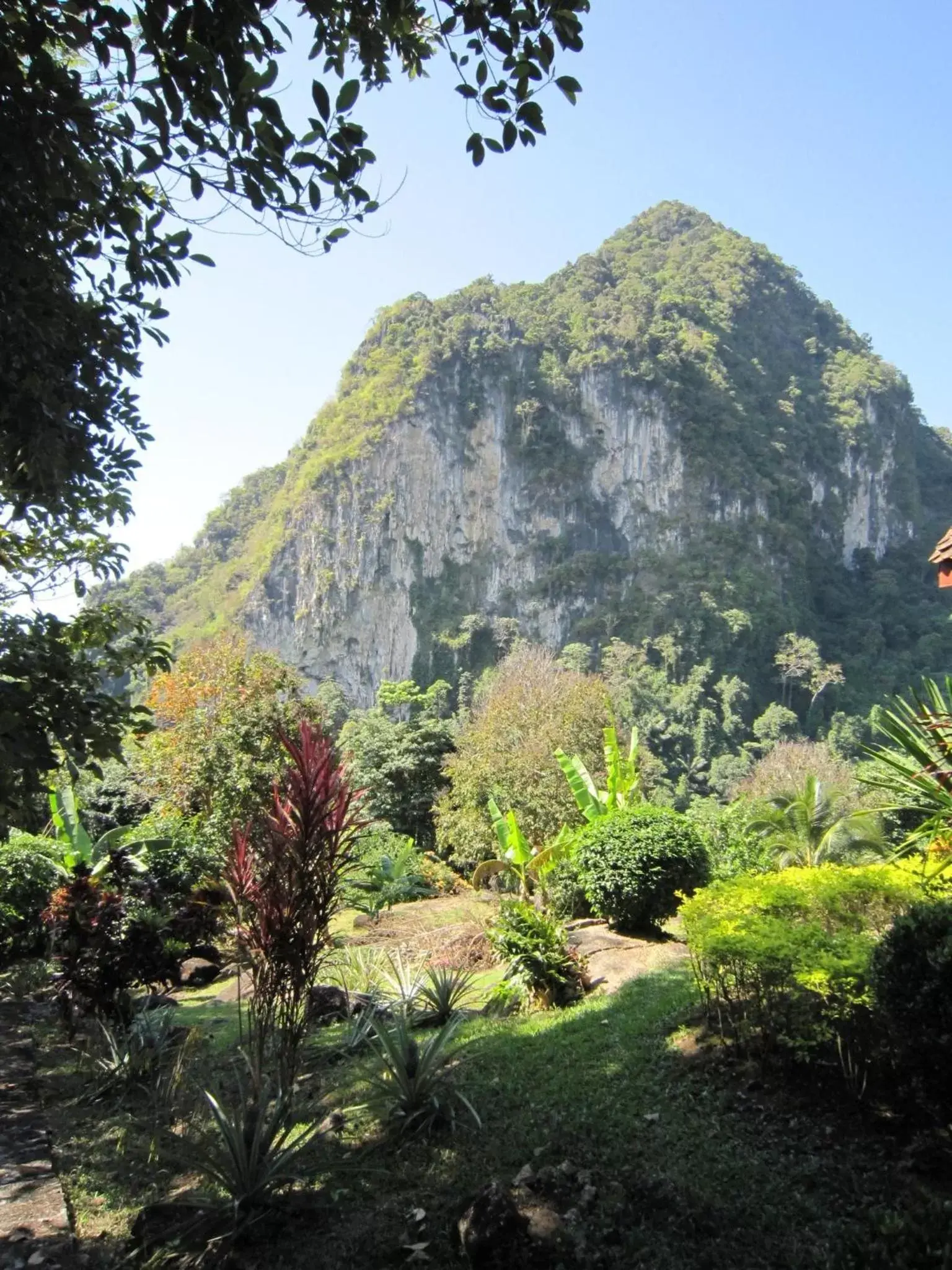 Mountain View in Phanom Bencha Mountain Resort