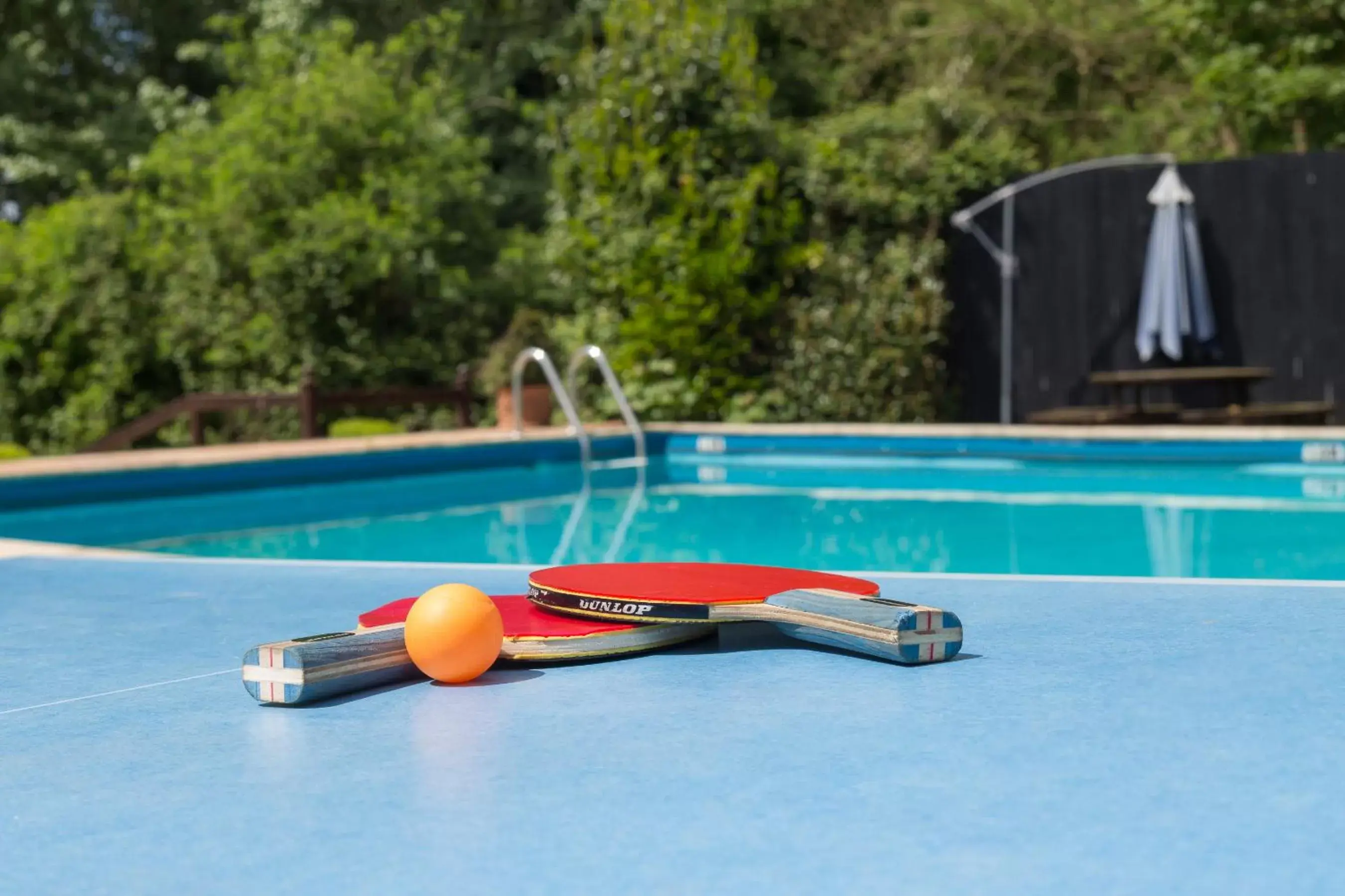 Table tennis, Swimming Pool in De Rougemont Manor