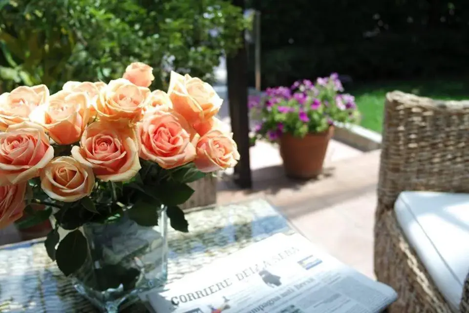 Garden in Hotel Livio