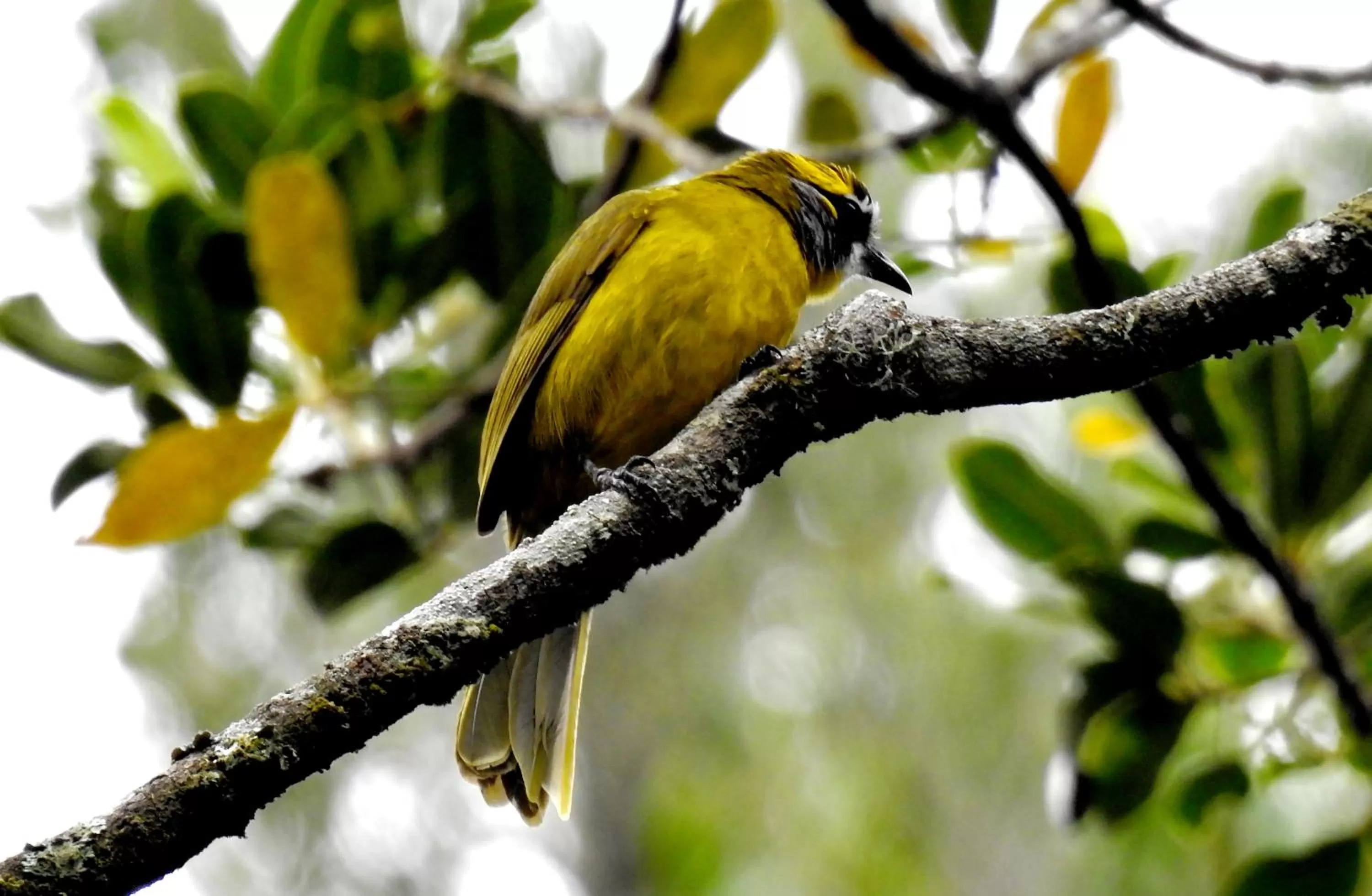 Activities in The Grand Hotel - Heritage Grand