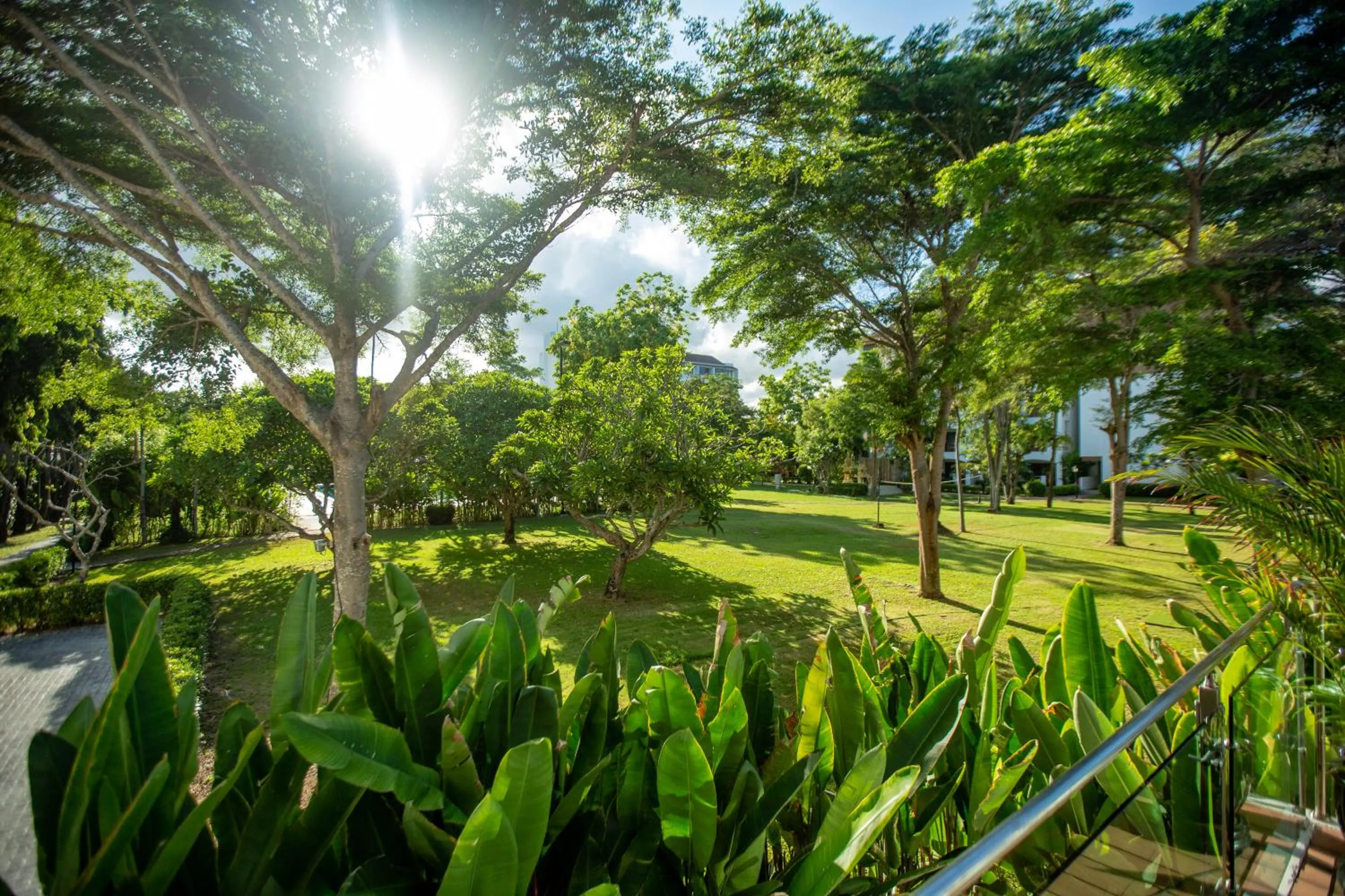 Garden in Pinnacle Grand Jomtien Resort and Beach Club