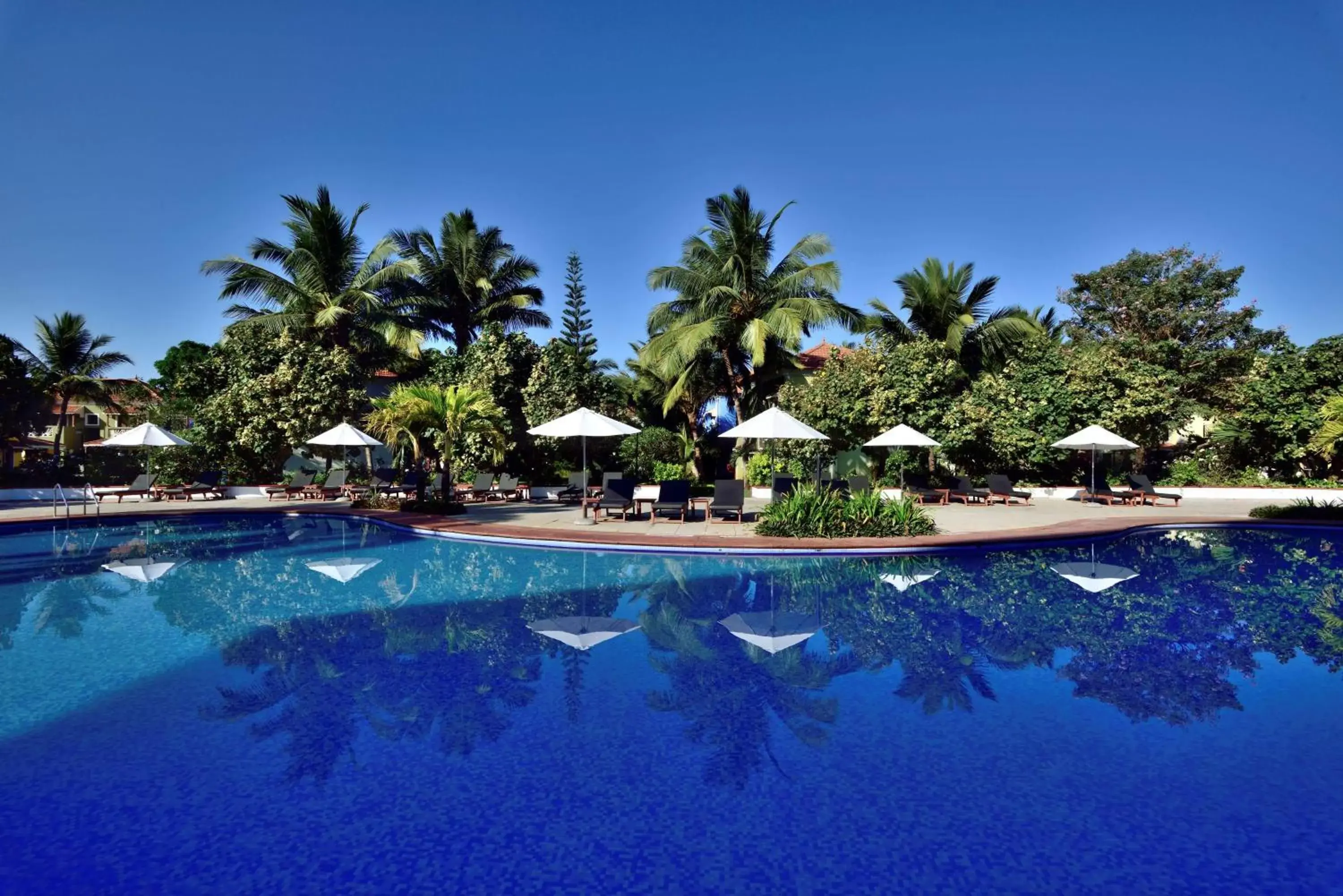 Activities, Swimming Pool in Radisson Blu Resort, Goa