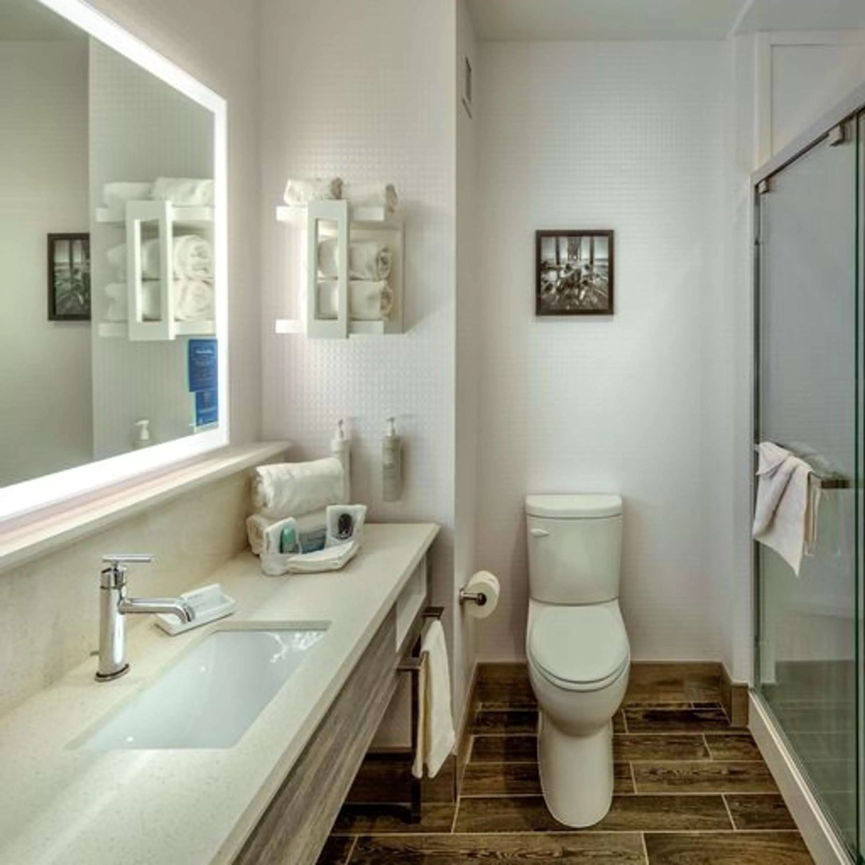 Bathroom in Hampton Inn & Suites South Lake Tahoe