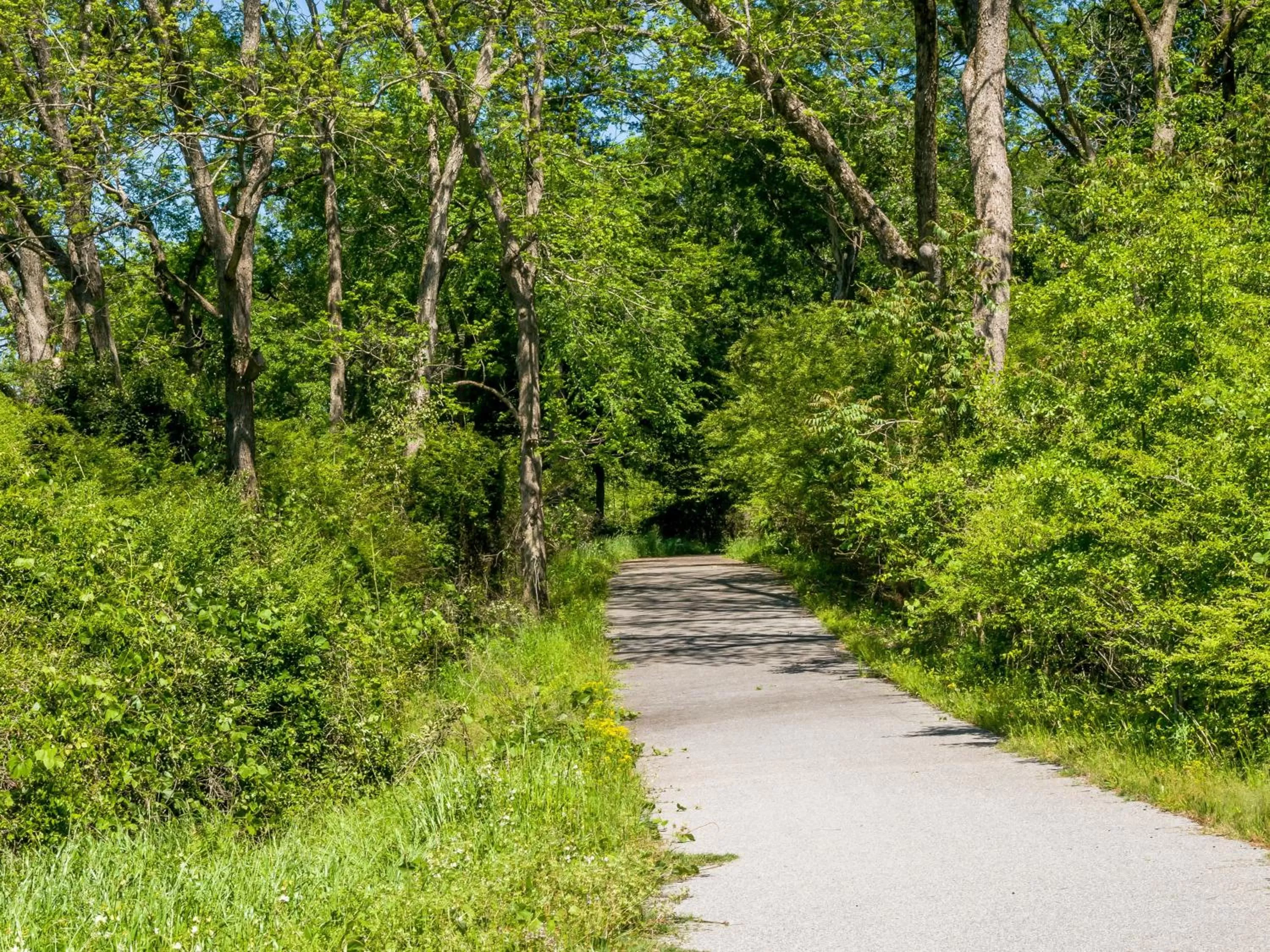 Property building in Holly House of Hamilton