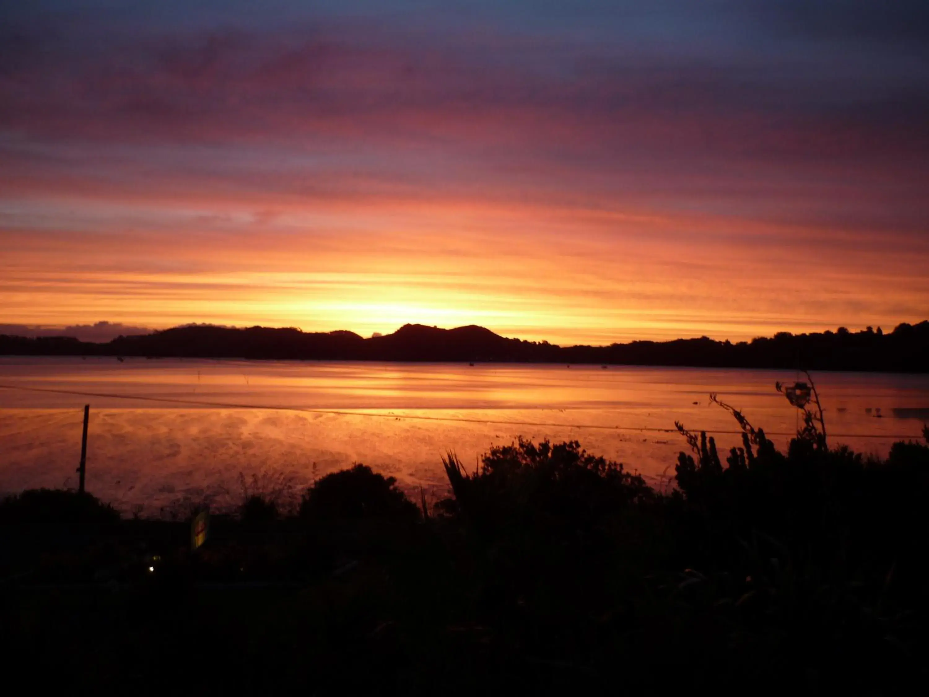 Natural landscape in Harbour View Motel