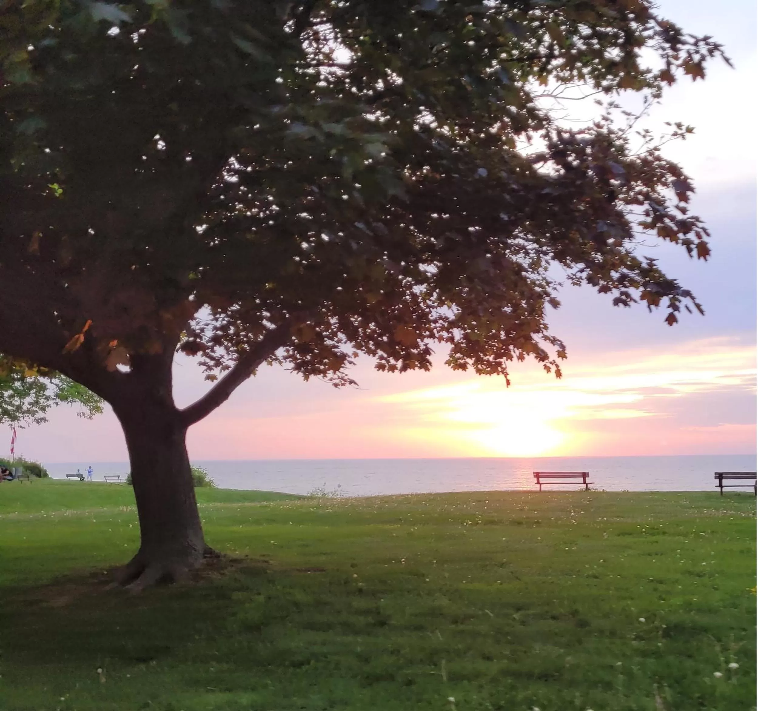 Natural landscape in La Maison de Sophie