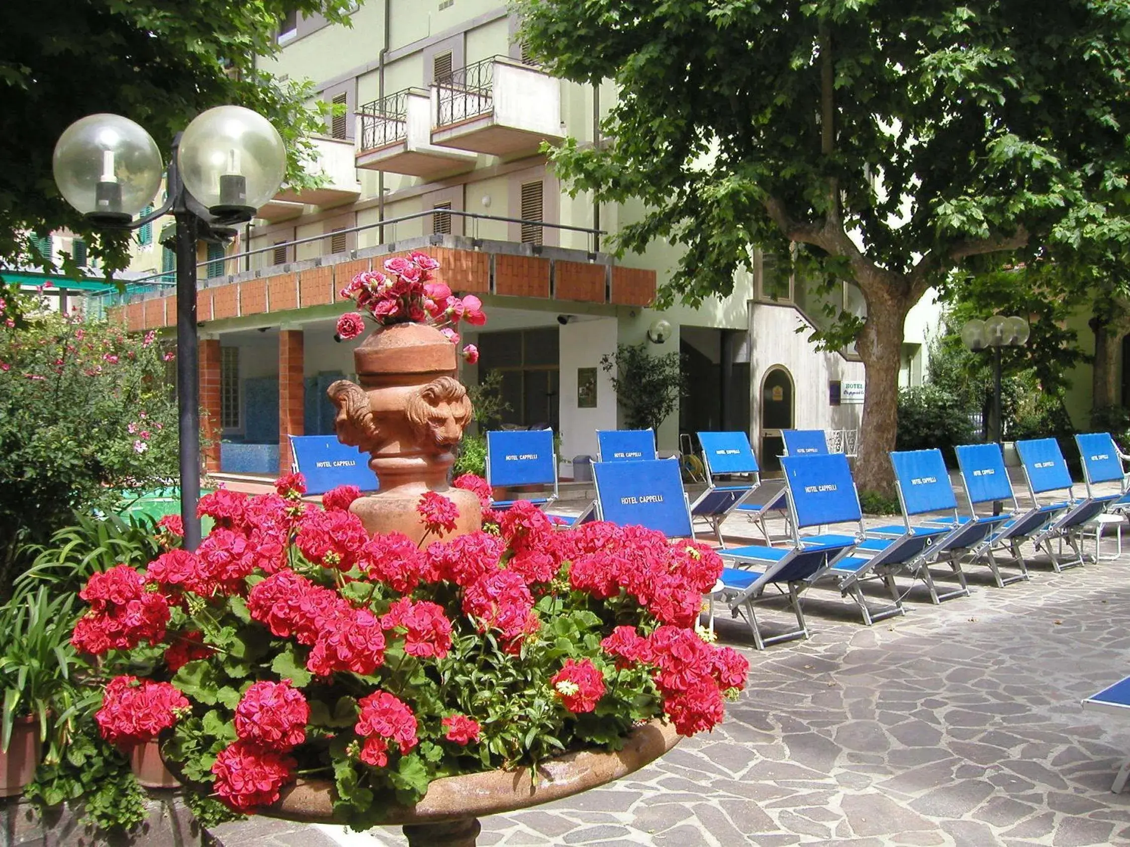 Patio, Swimming Pool in Hotel Cappelli