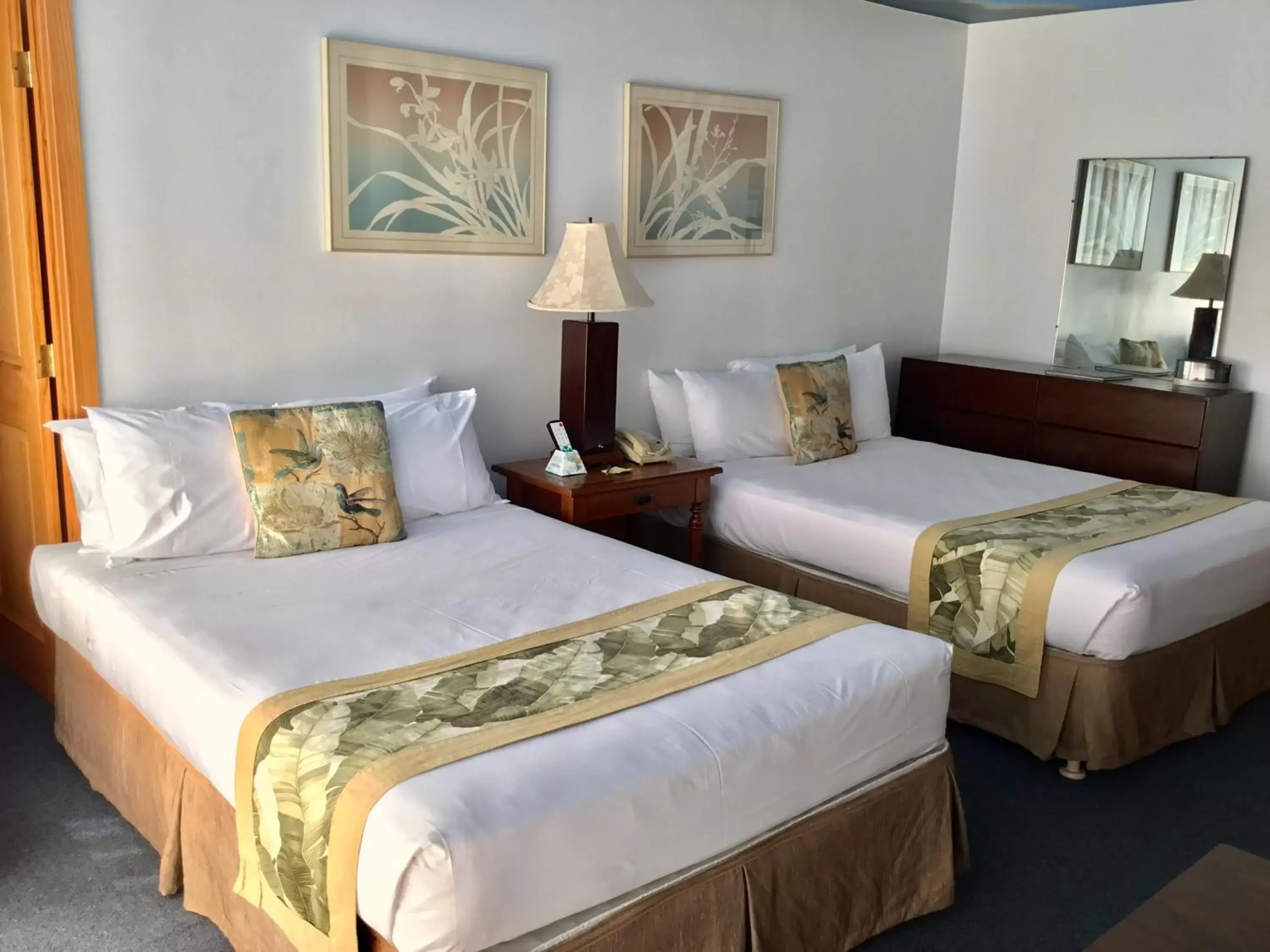 Bed in Holiday Surf Hotel (with full kitchen)