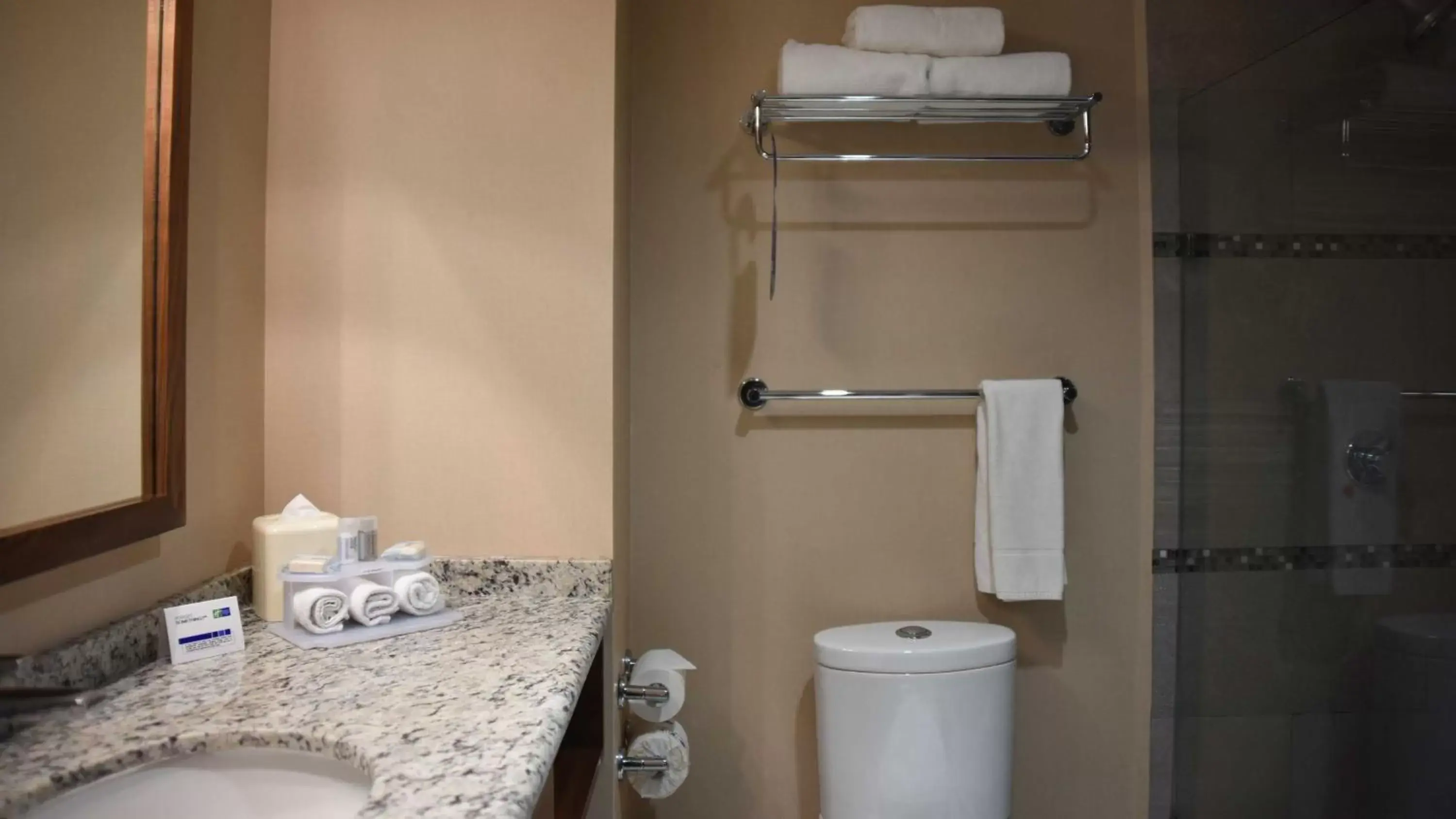 Toilet, Bathroom in Holiday Inn Express and Suites Celaya, an IHG Hotel